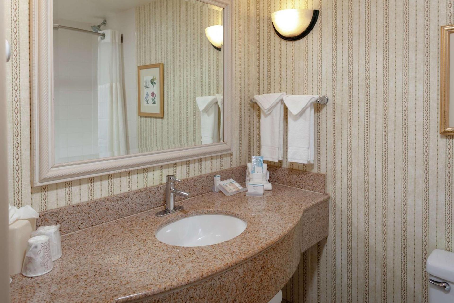 Hilton Garden Inn Charlotte North photo 11