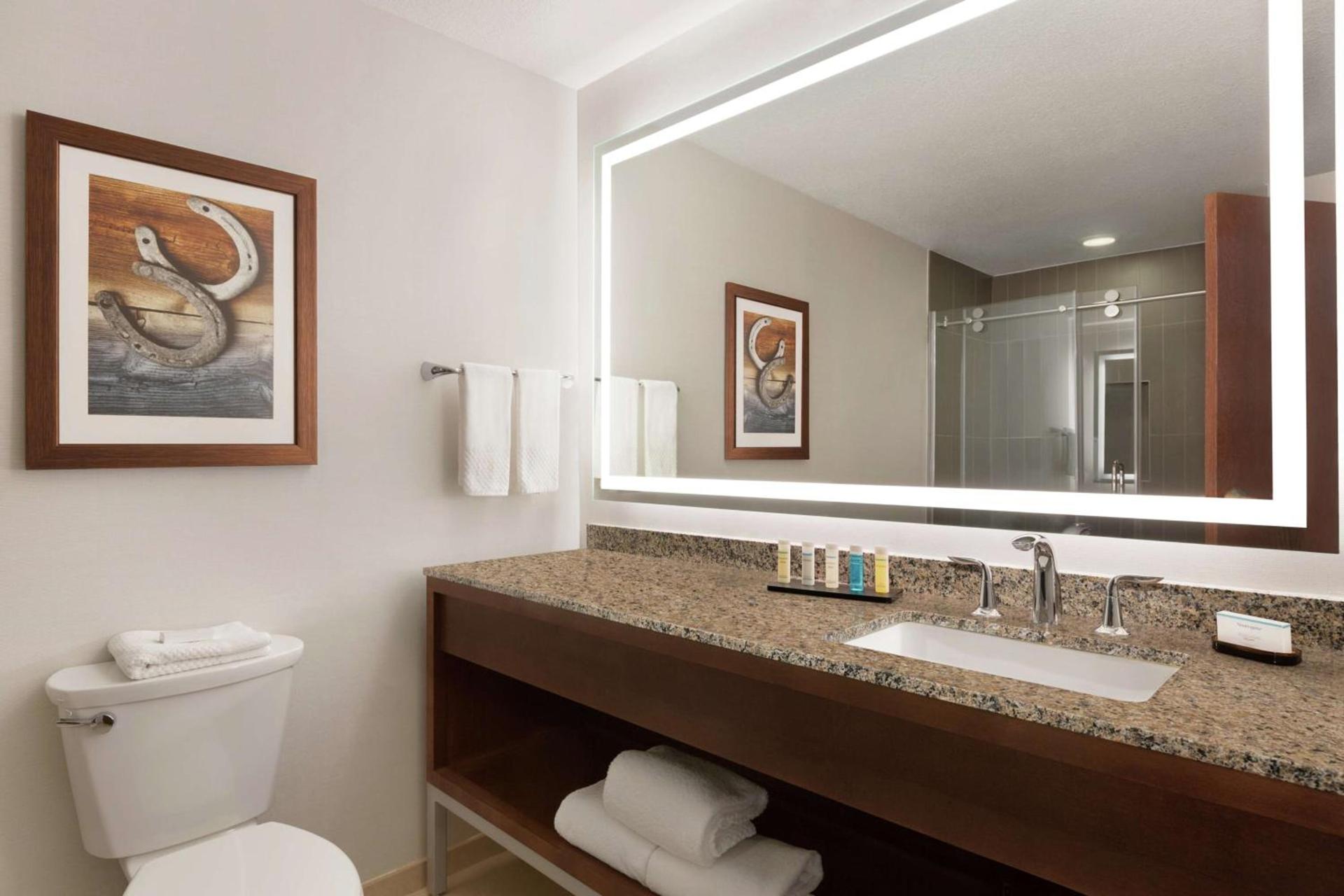 Embassy Suites Dallas - DFW Airport North photo 25