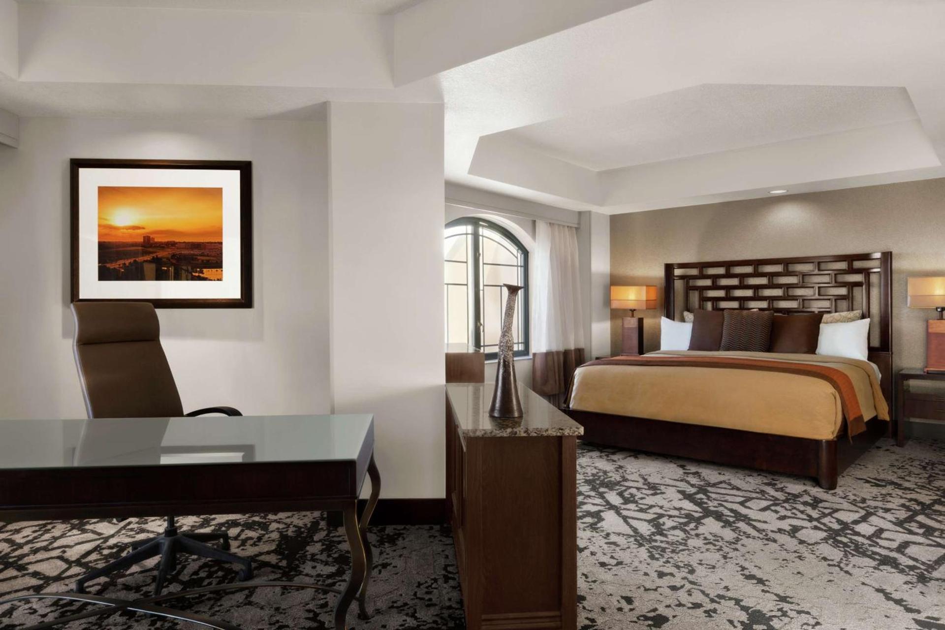 Embassy Suites Dallas - DFW Airport North photo 27