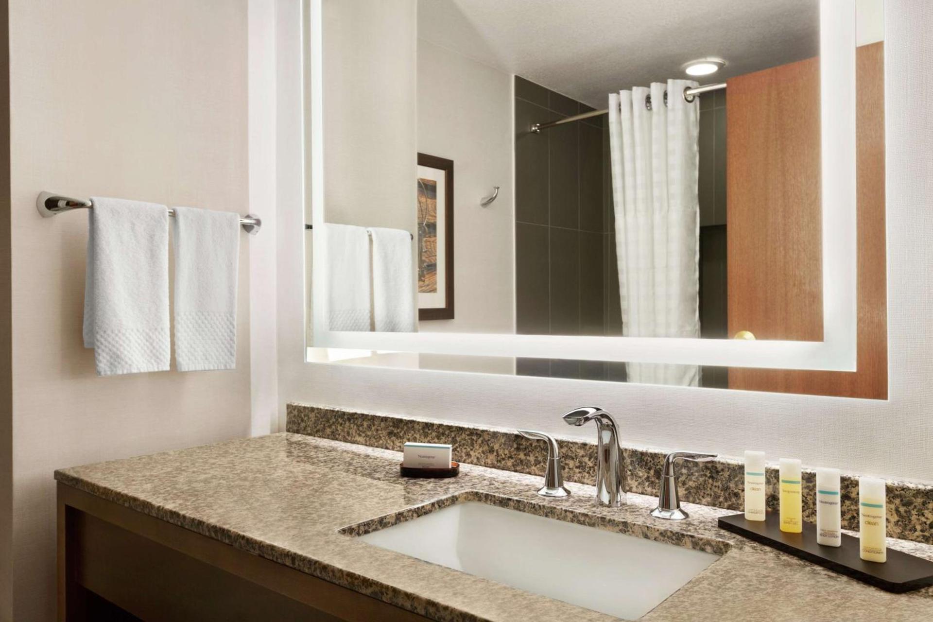 Embassy Suites Dallas - DFW Airport North photo 36