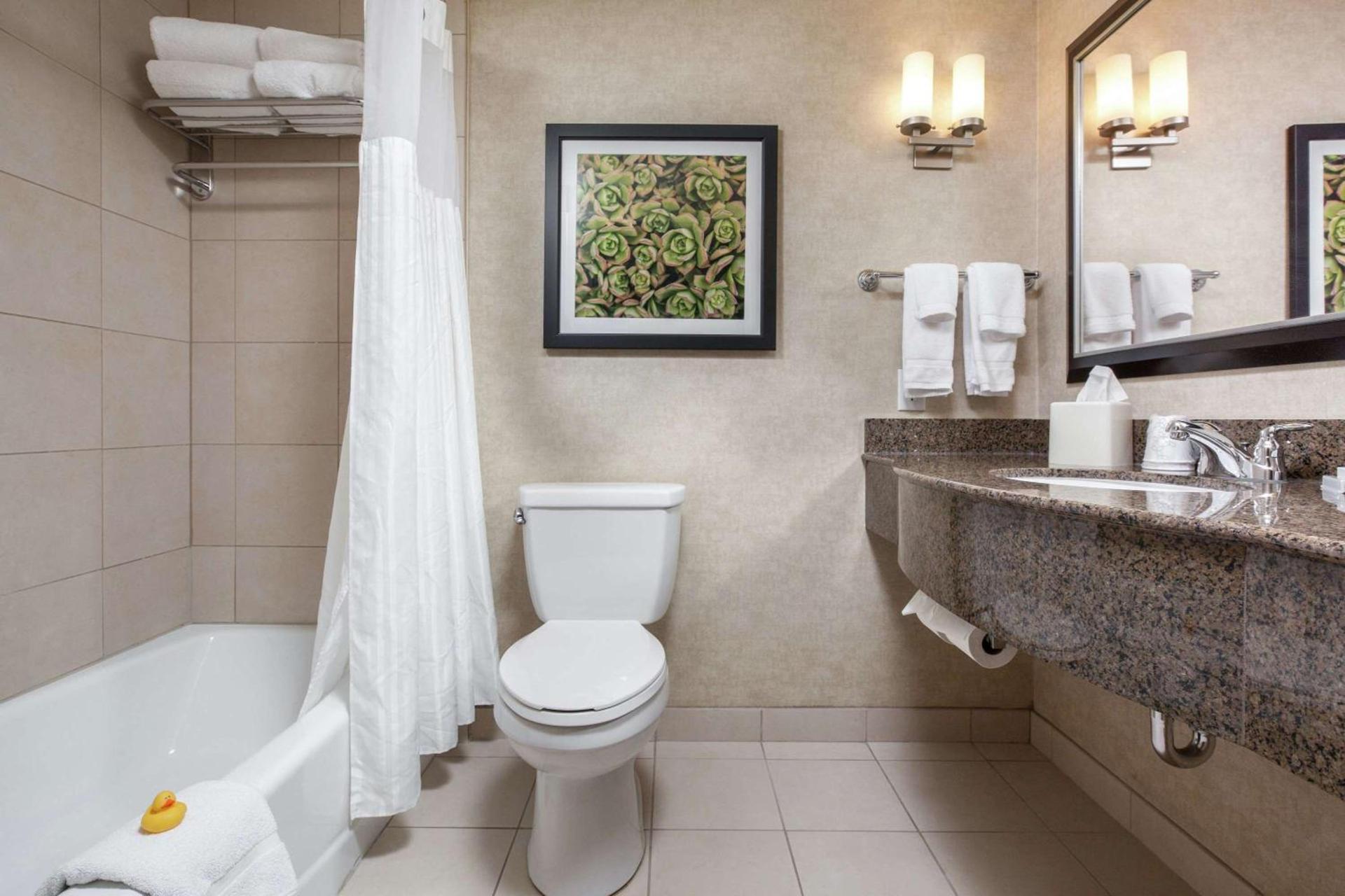 Hilton Garden Inn Fargo photo 12
