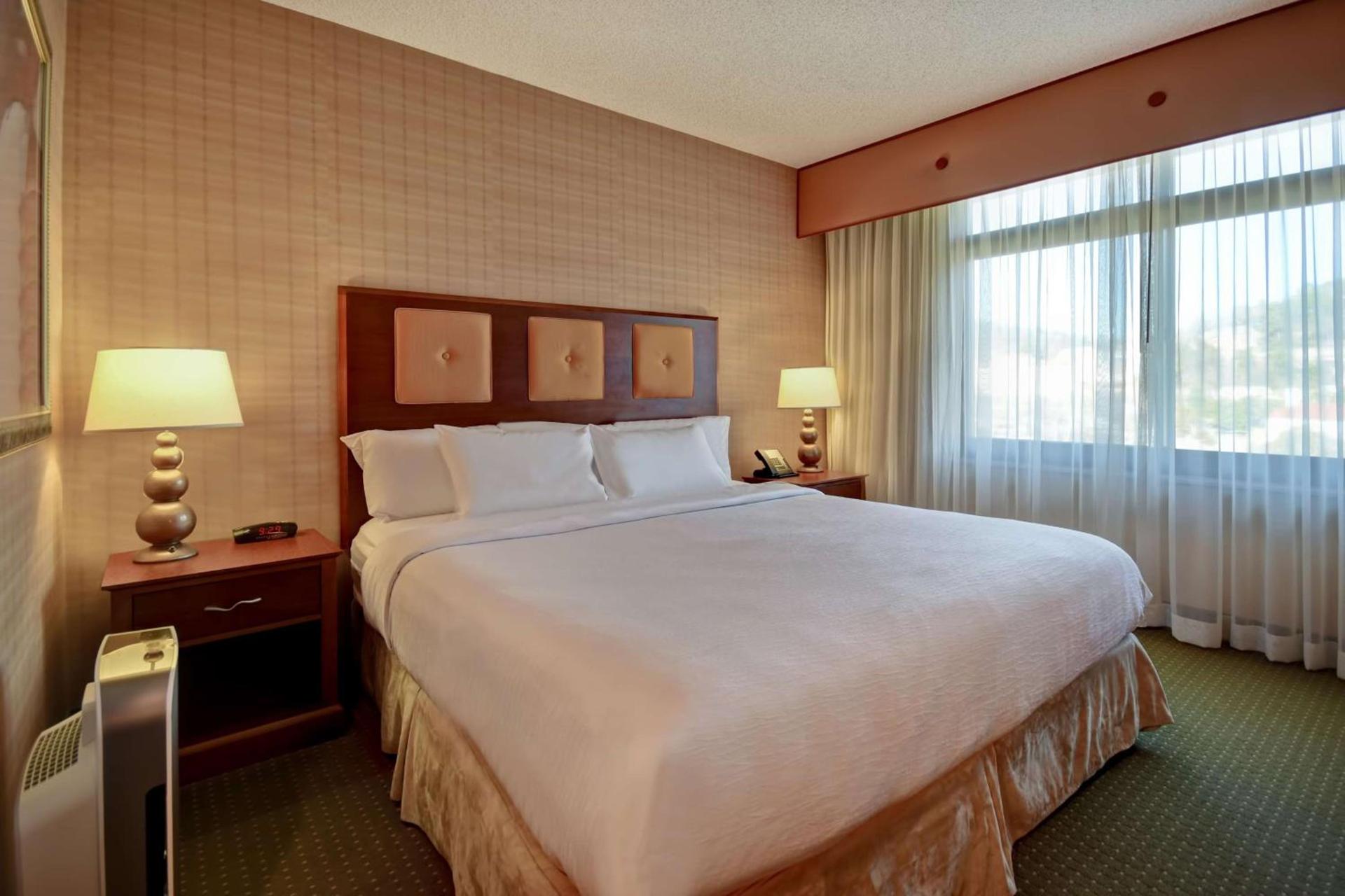 Embassy Suites by Hilton at Hot Springs Convention Center photo 17