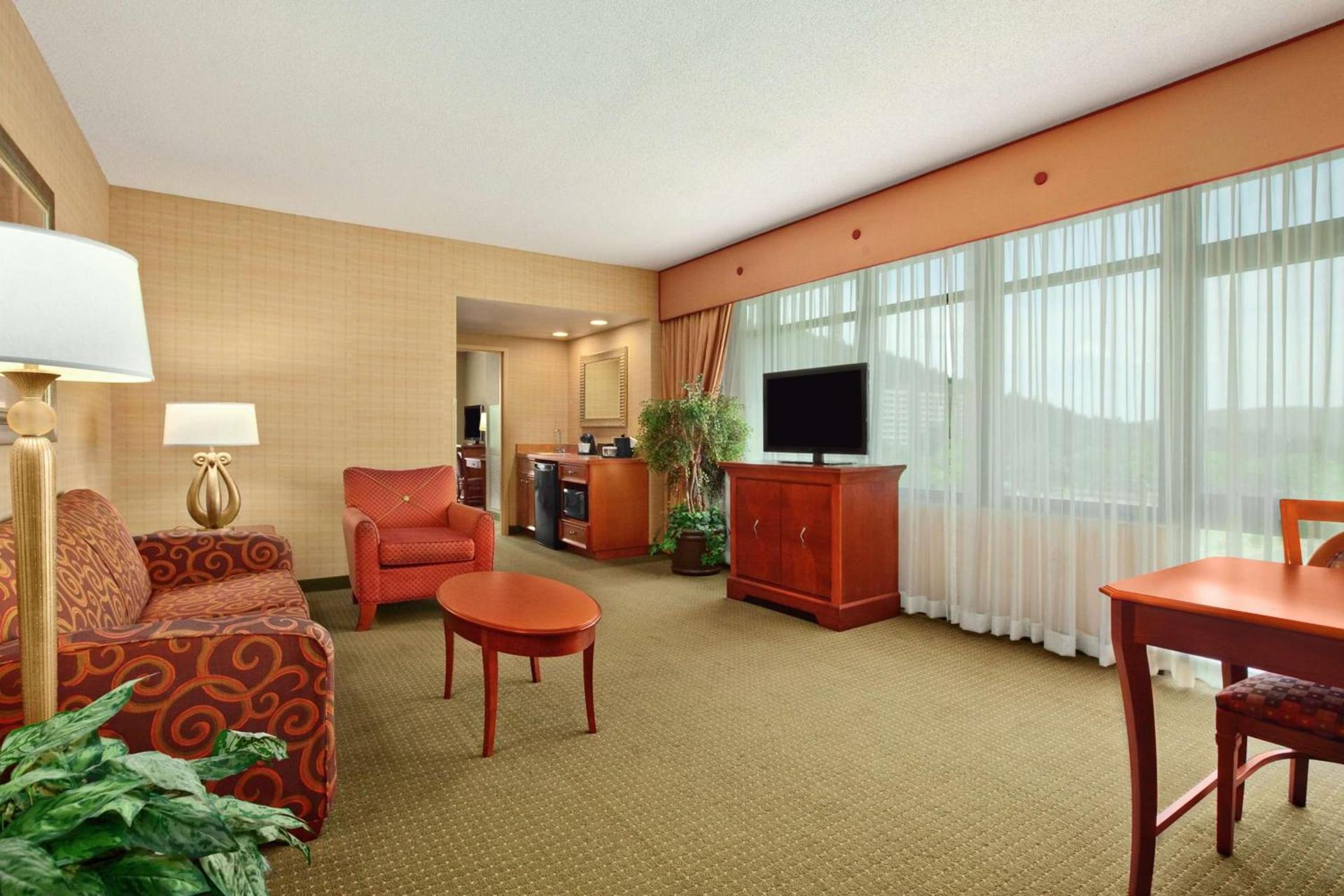 Embassy Suites by Hilton at Hot Springs Convention Center photo 42