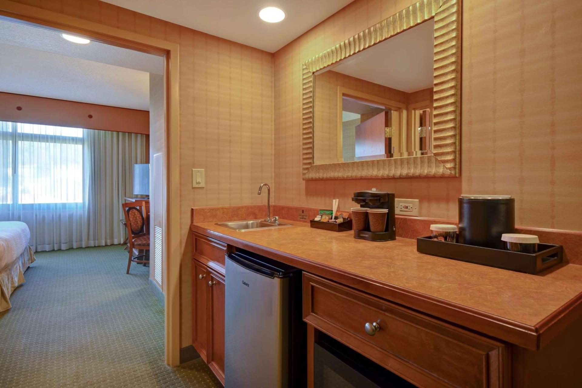 Embassy Suites by Hilton at Hot Springs Convention Center photo 49