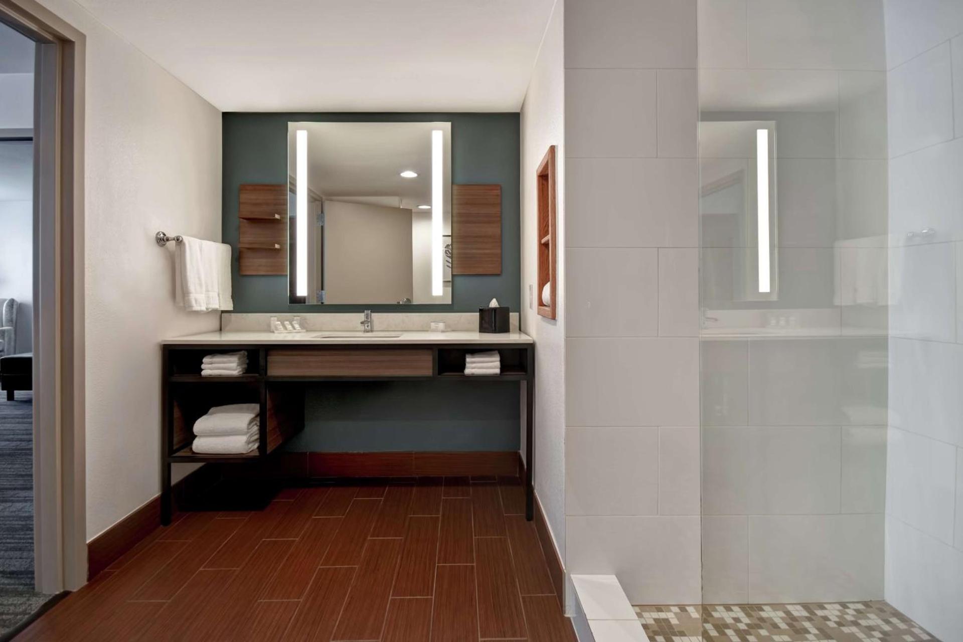 Hilton Garden Inn Houston/Galleria Area photo 19