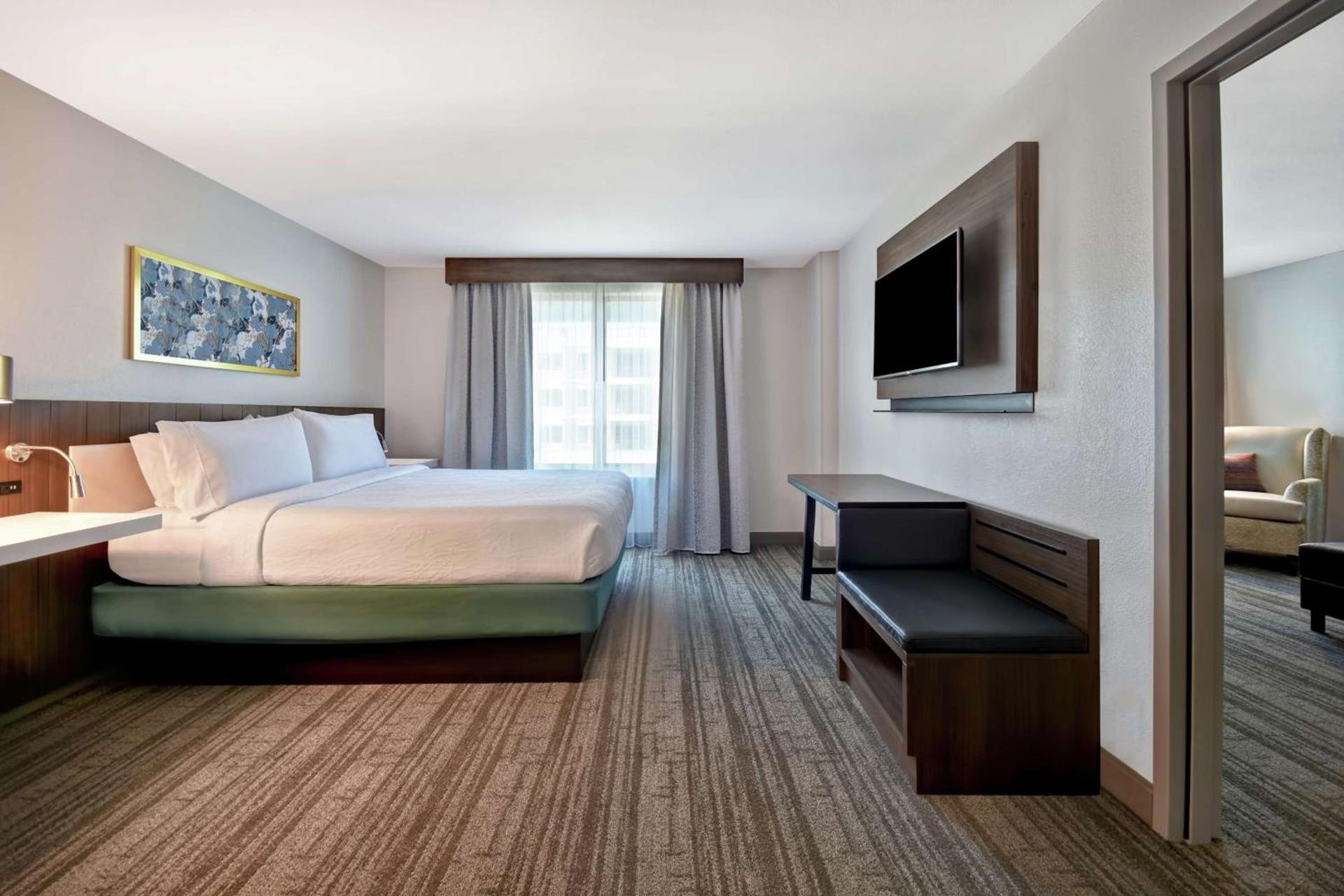 Hilton Garden Inn Houston/Galleria Area photo 21