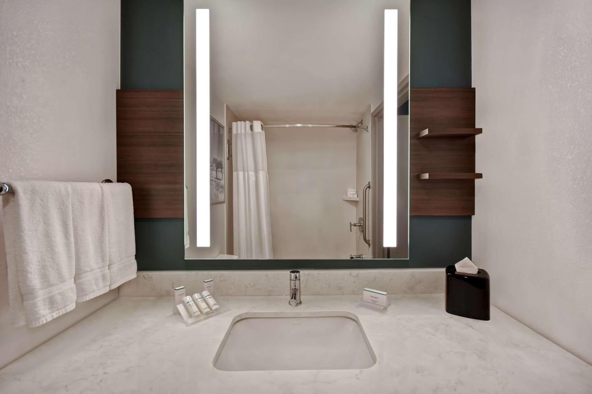 Hilton Garden Inn Houston/Galleria Area photo 24
