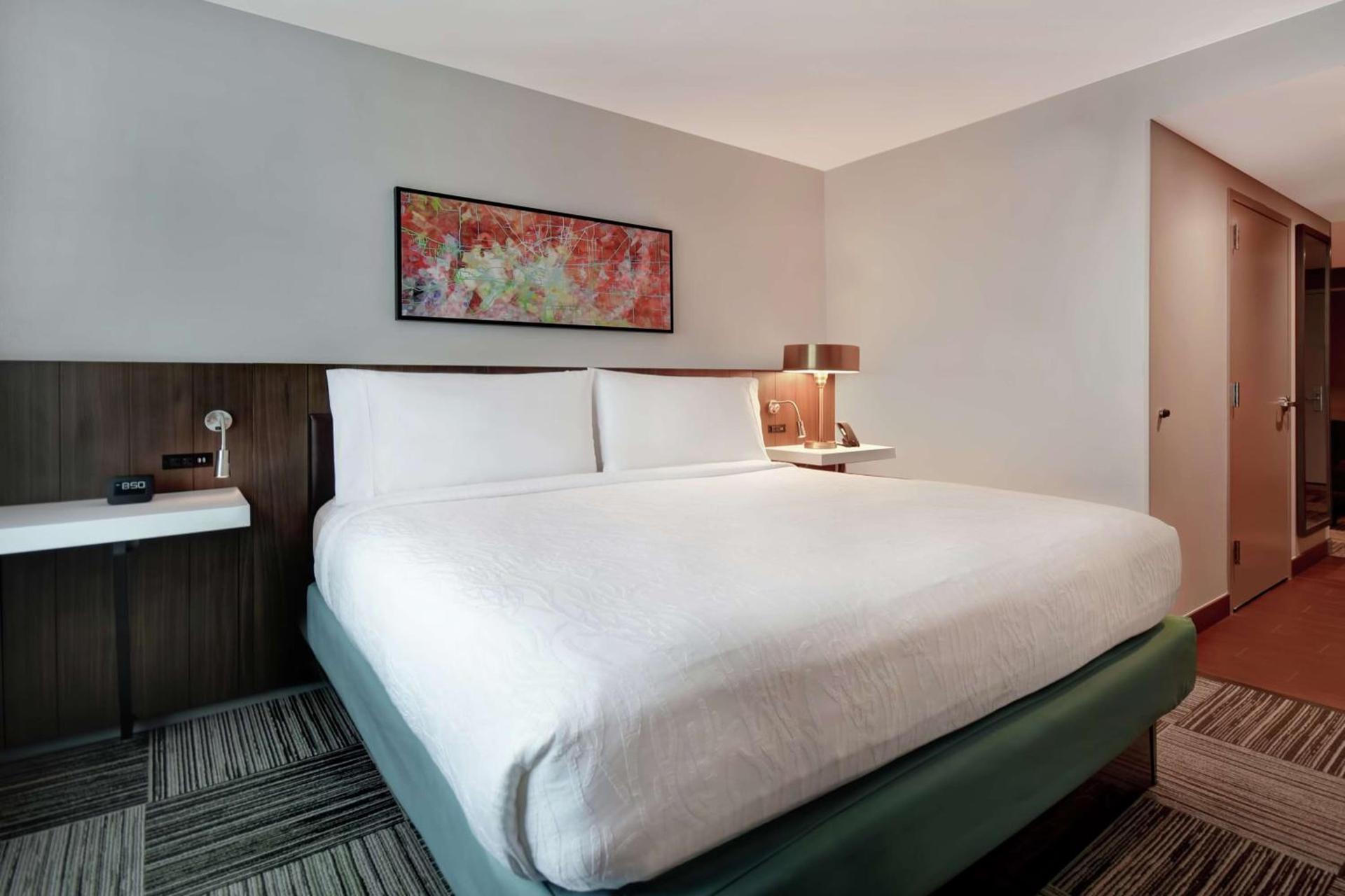 Hilton Garden Inn Houston/Galleria Area photo 27