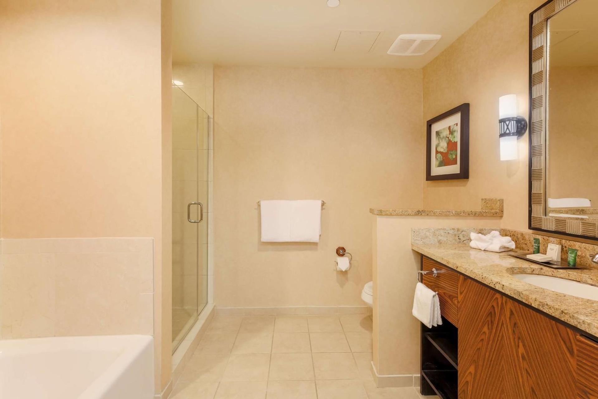 Hilton Promenade Branson Landing photo 22