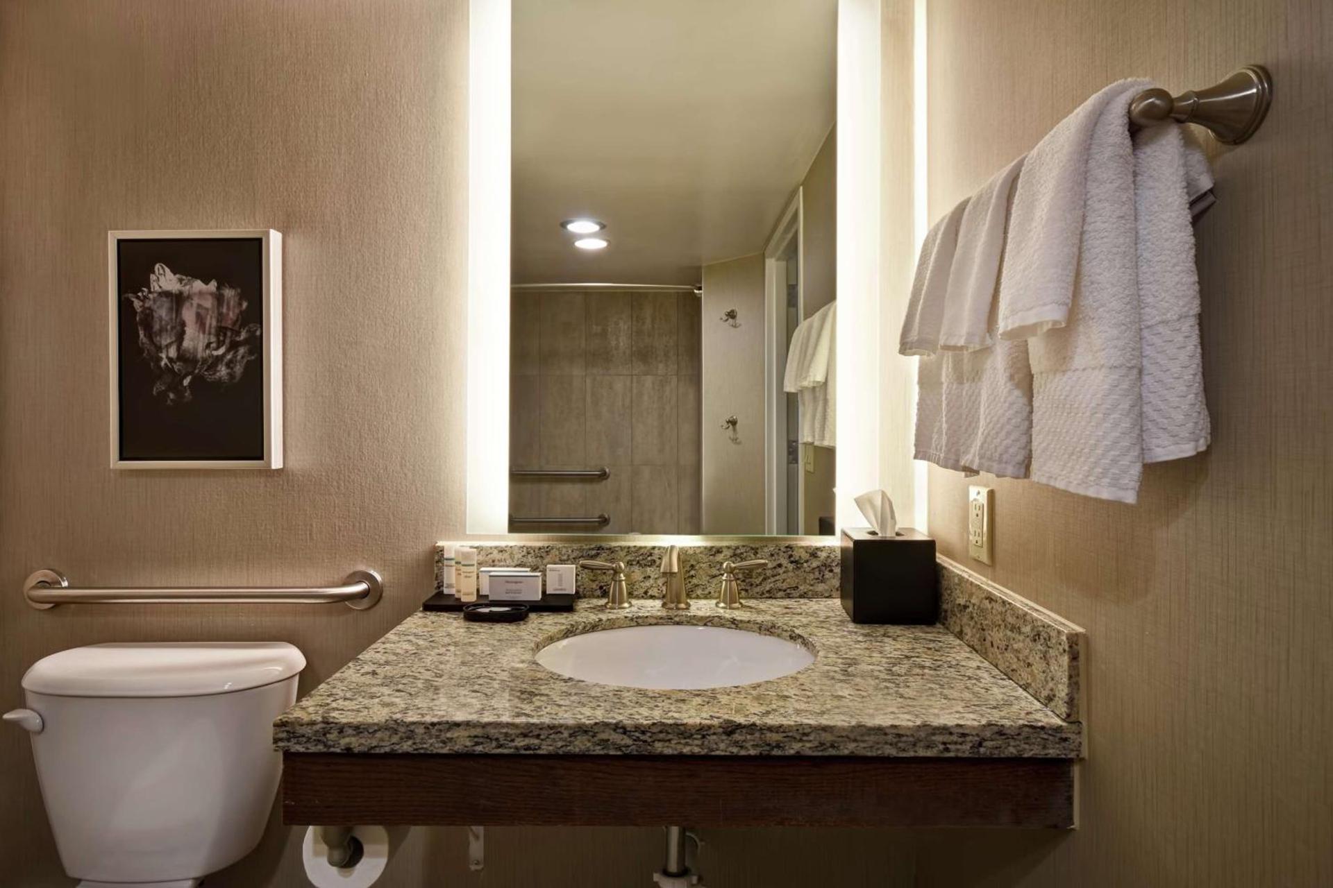 Embassy Suites Montgomery - Hotel & Conference Center photo 29
