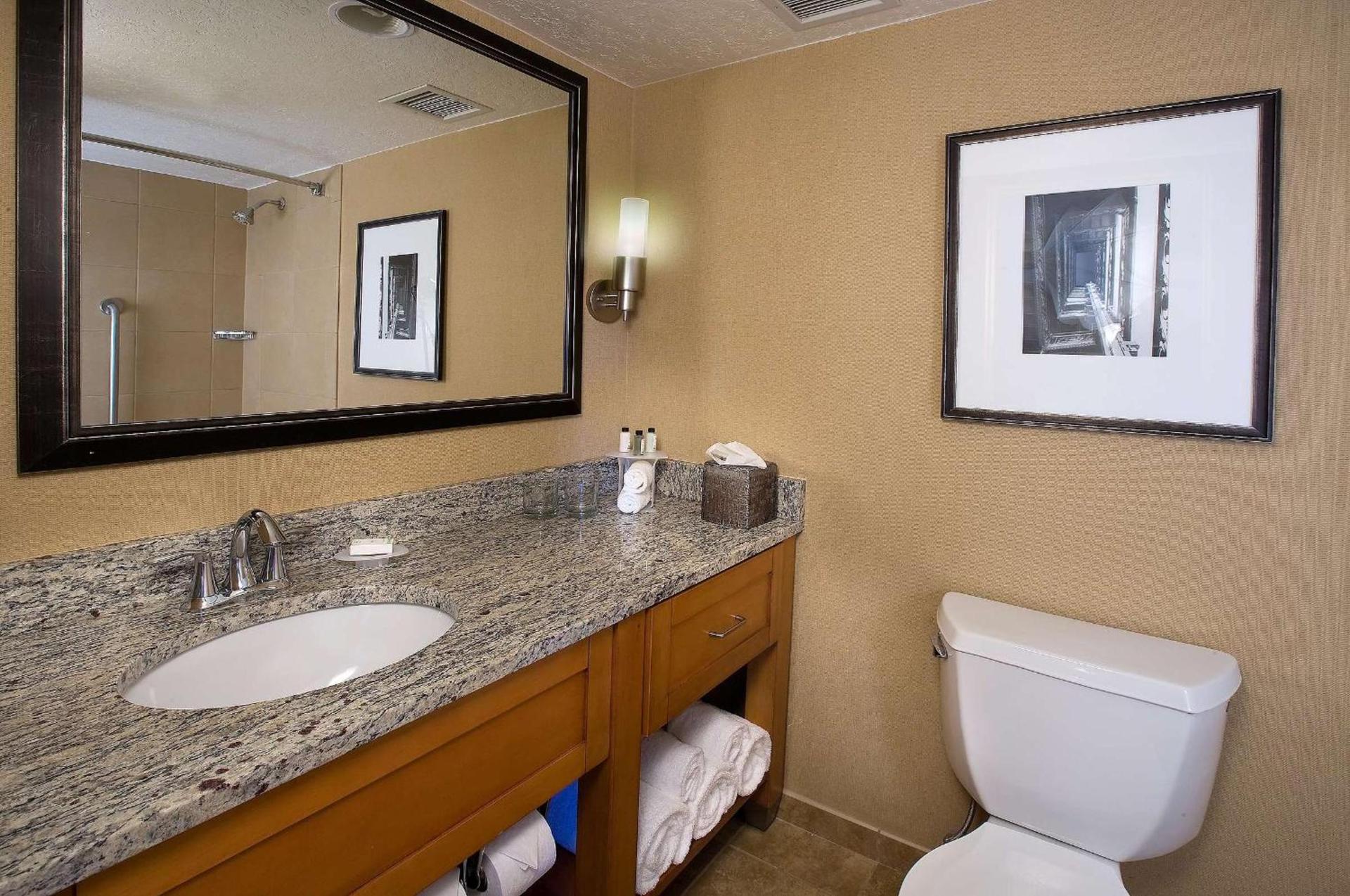 Embassy Suites by Hilton Kansas City International Airport photo 32
