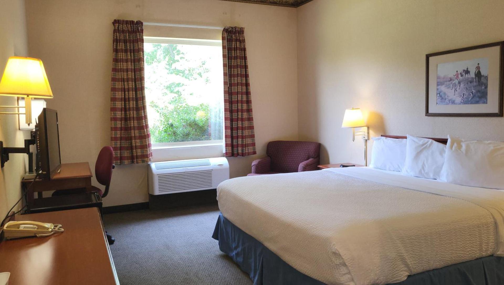Magnason Hotel photo 21