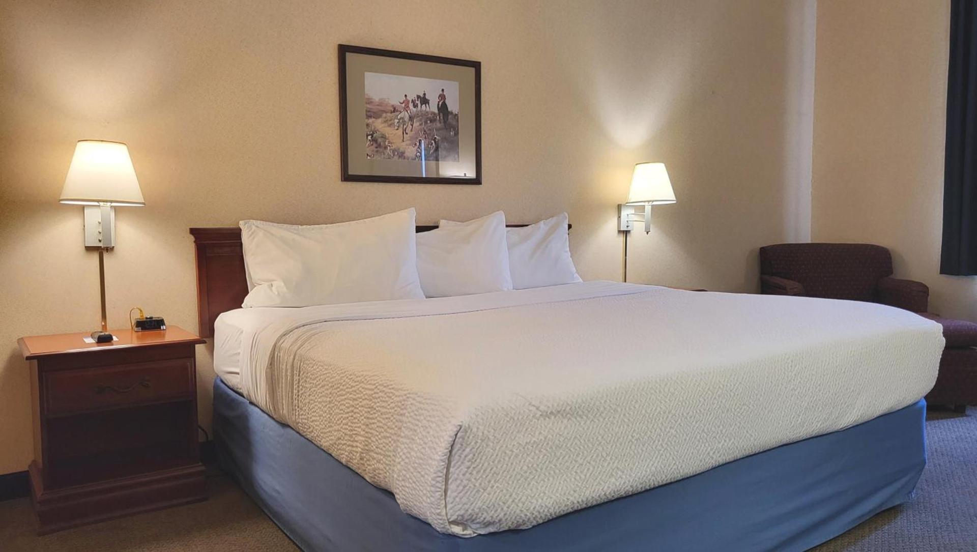 Magnason Hotel photo 19
