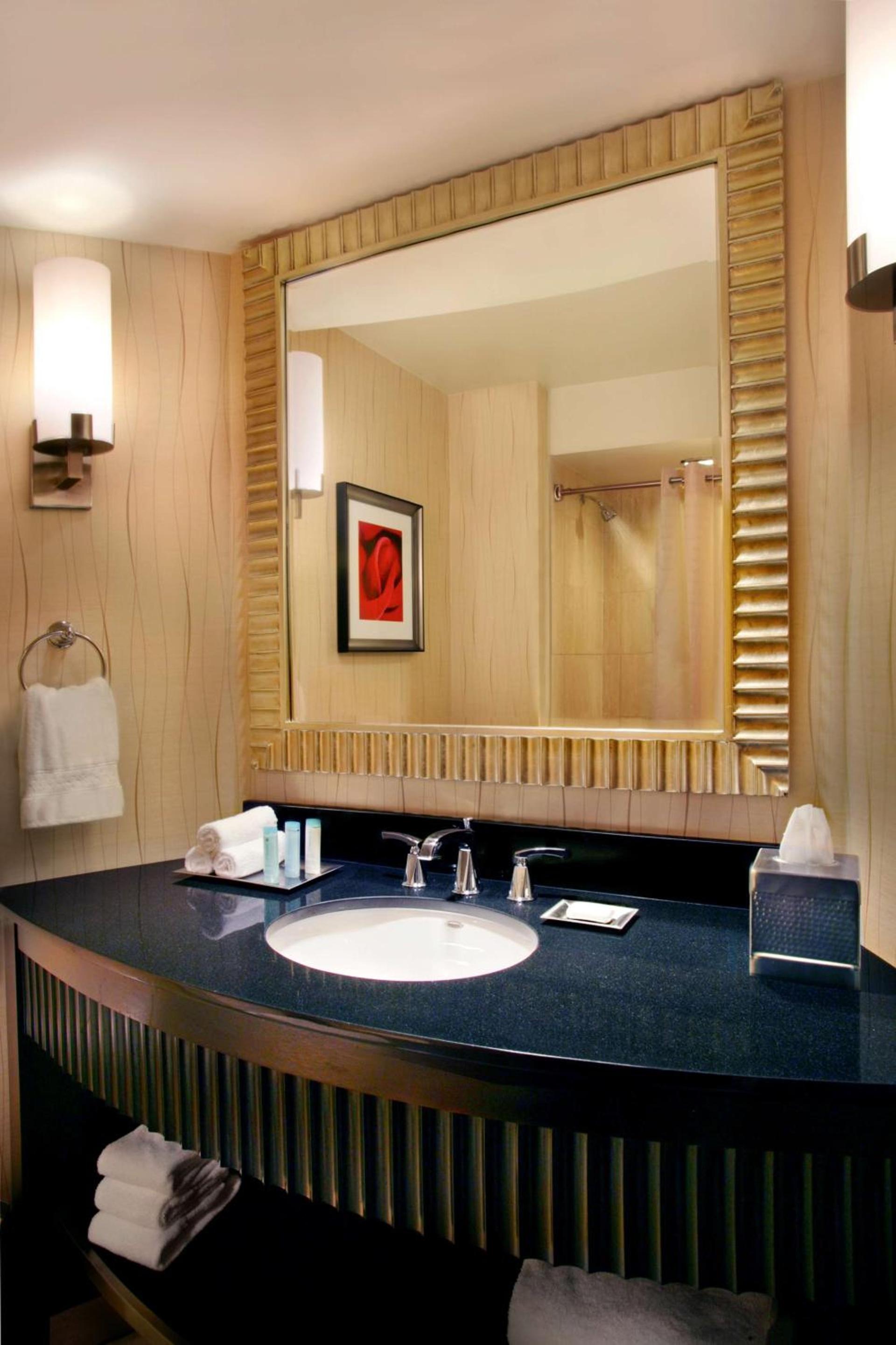 Hilton Rosemont Chicago O'Hare photo 45