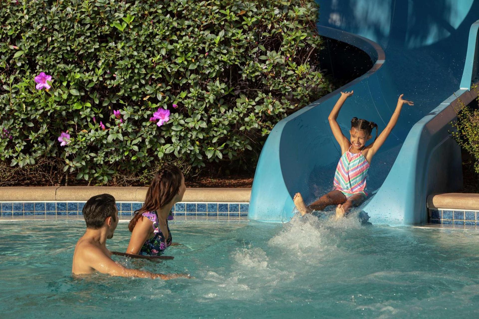 Hilton Orlando photo 8
