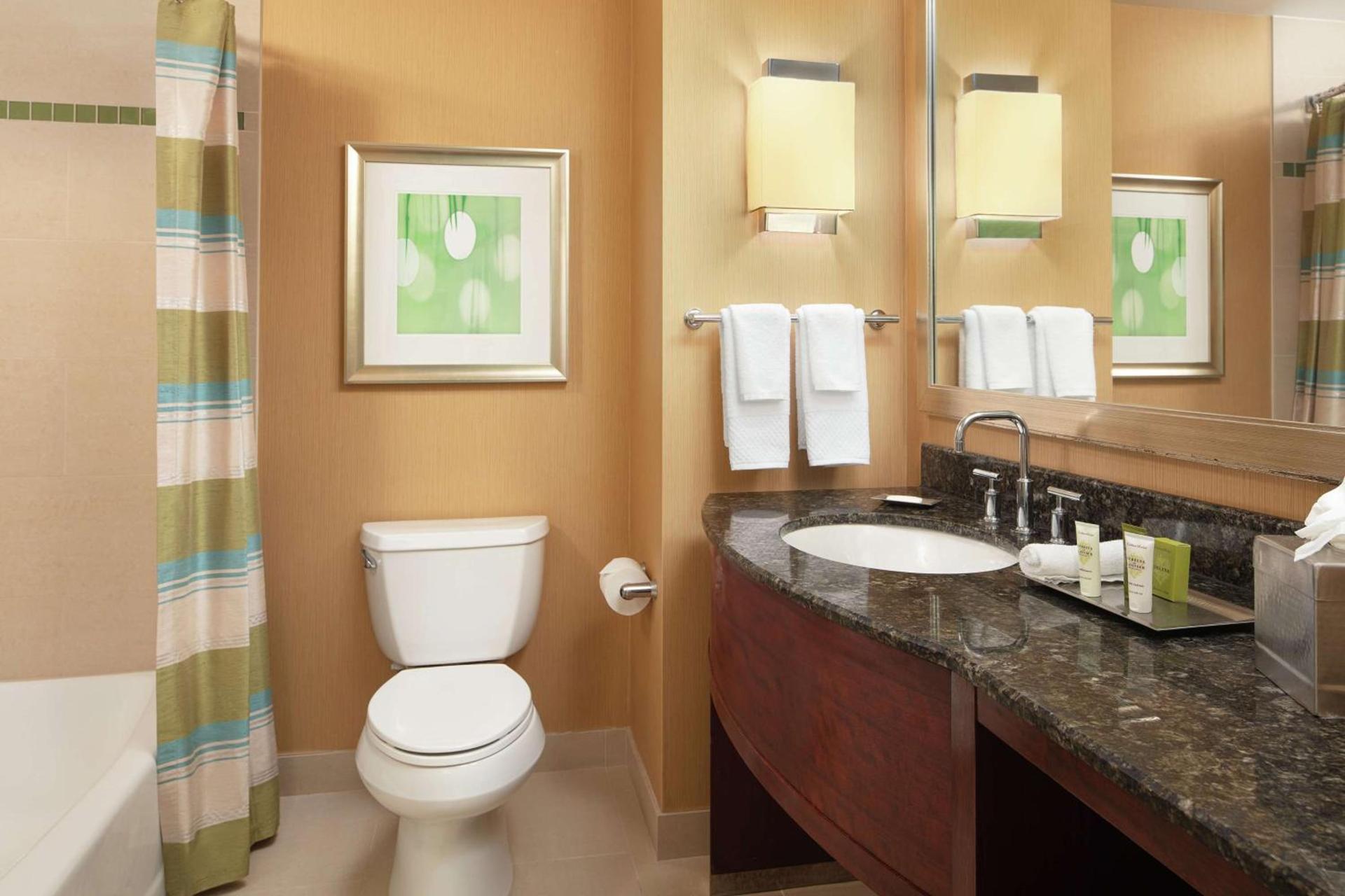 Hilton Orlando photo 24