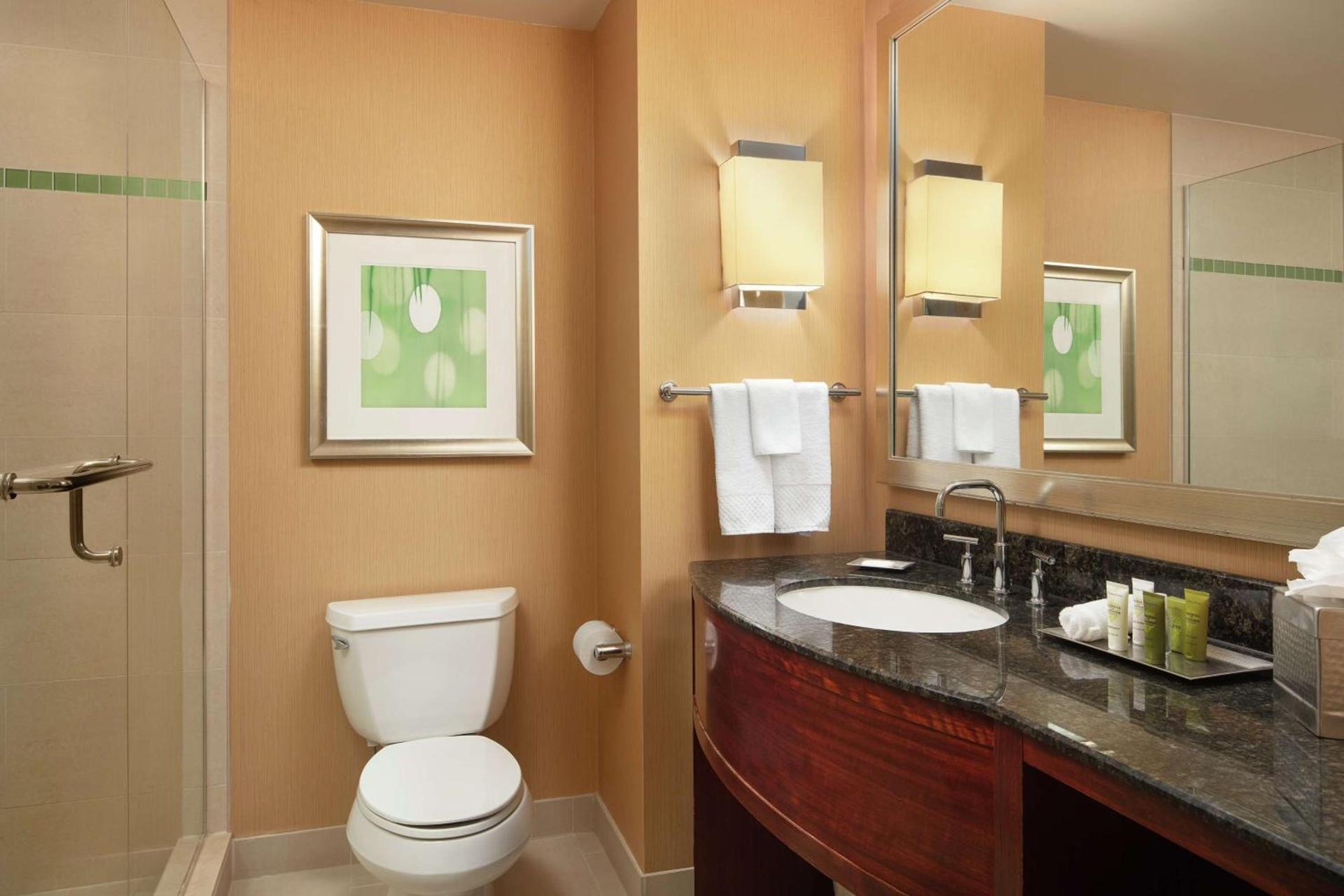 Hilton Orlando photo 23