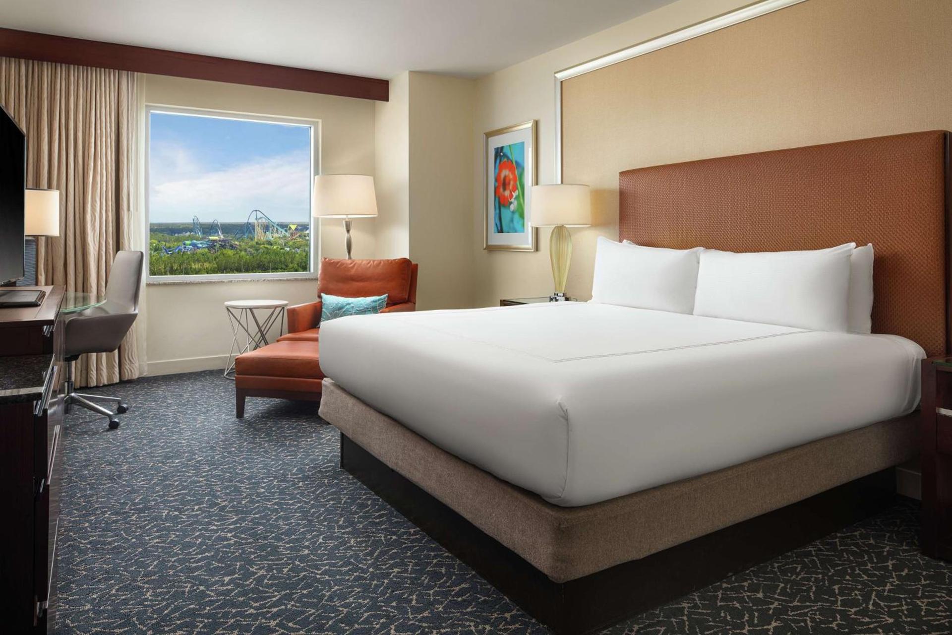 Hilton Orlando photo 33