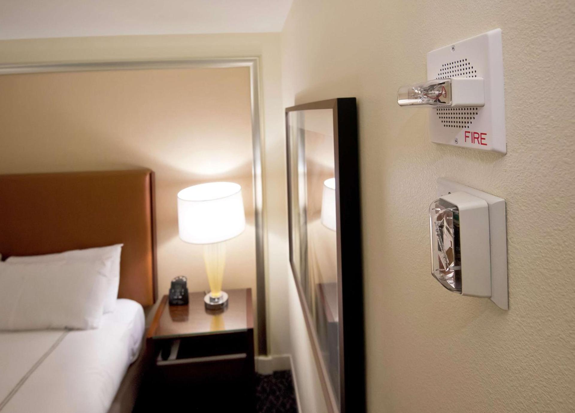 Hilton Orlando photo 40