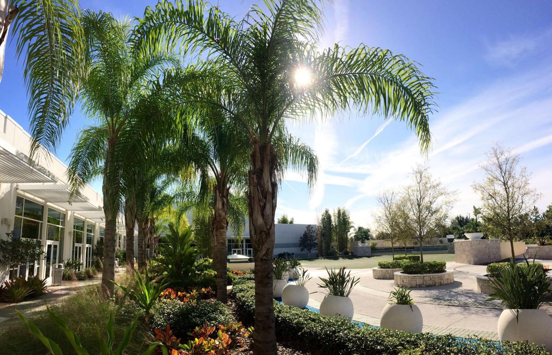Hilton Orlando photo 48