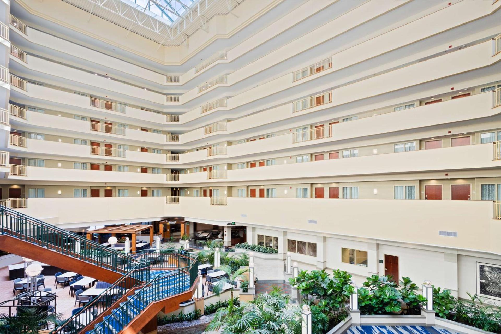Embassy Suites by Hilton Tampa USF Near Busch Gardens photo 3