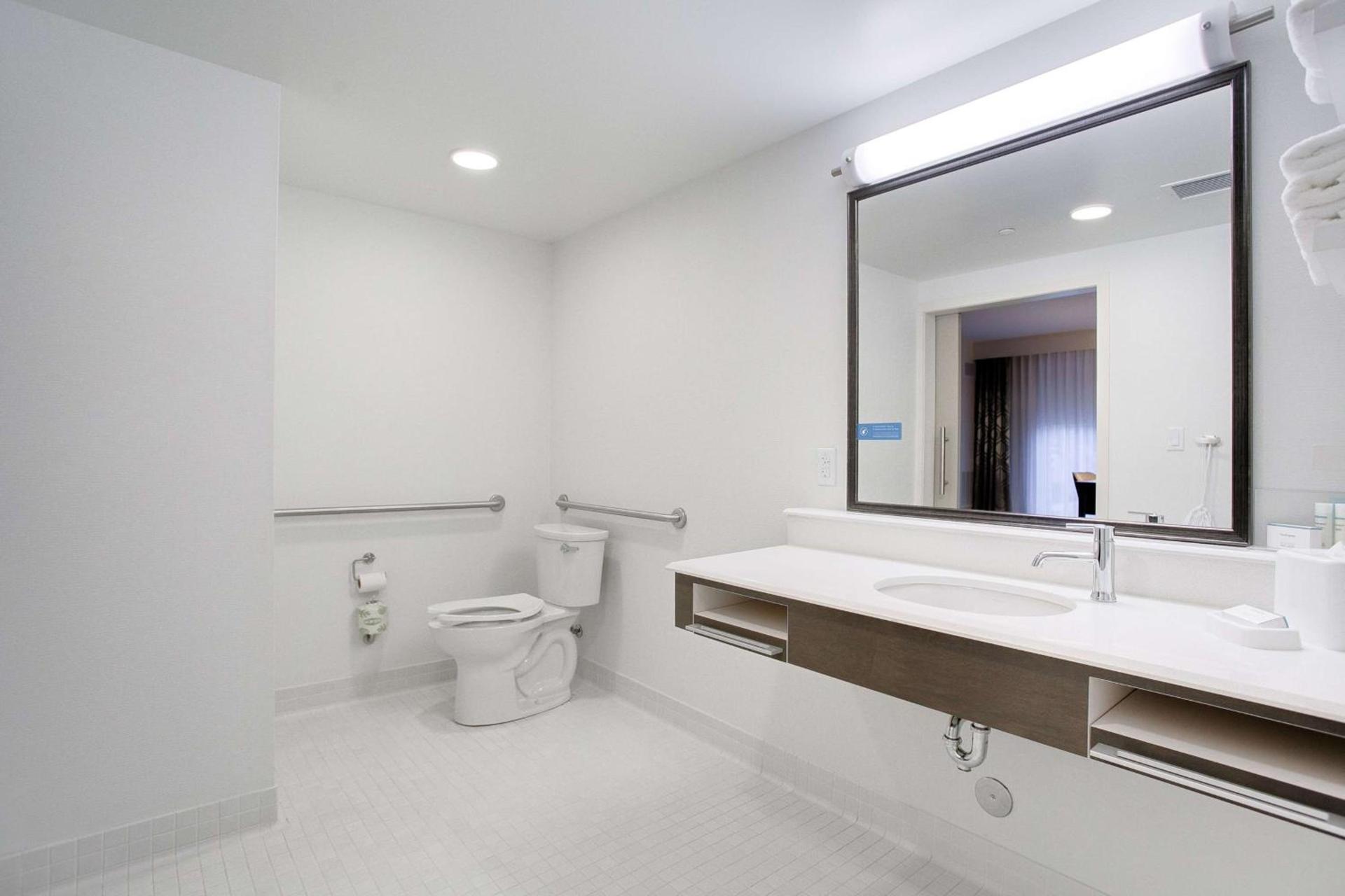 Hampton Inn & Suites North Houston Spring photo 19