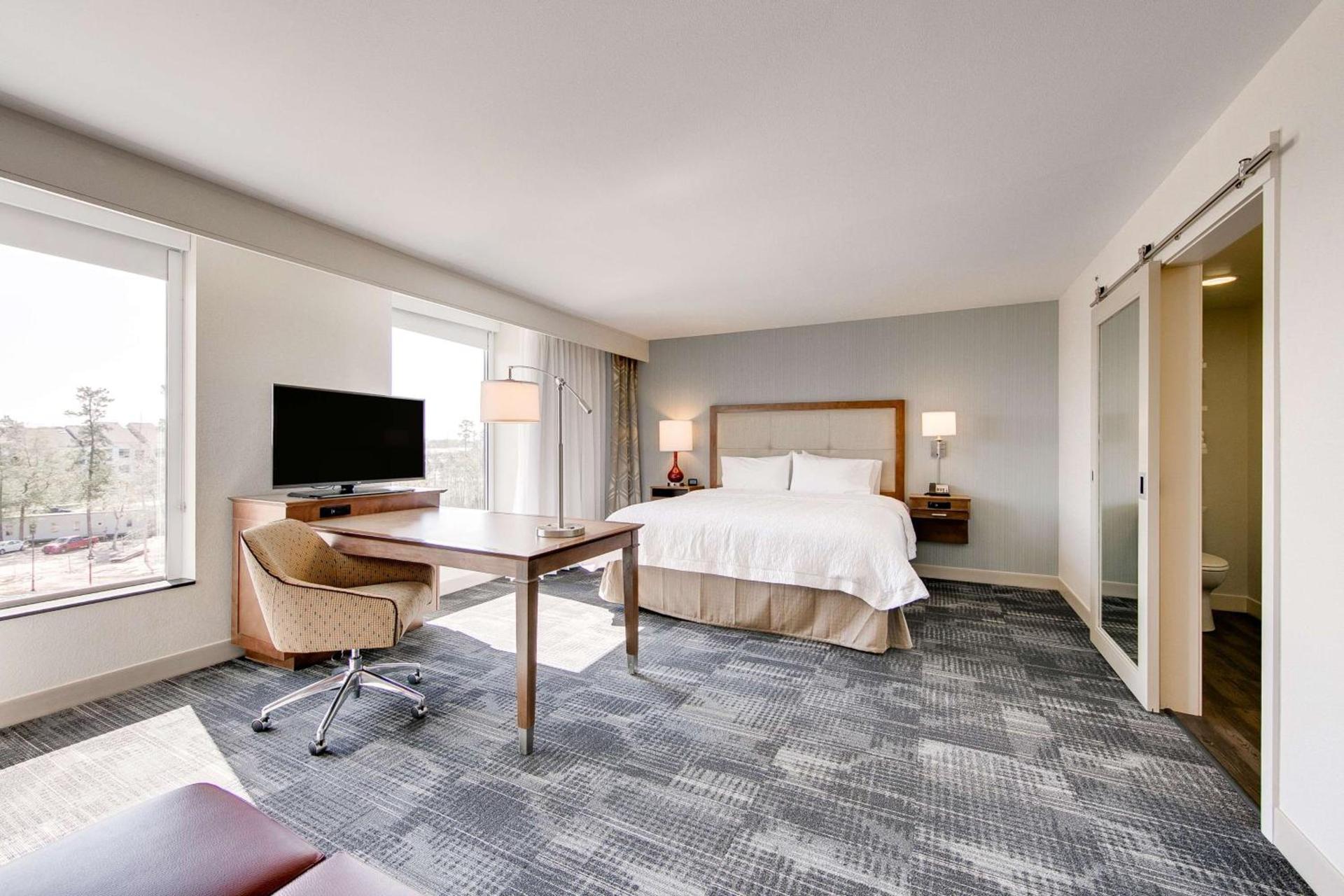Hampton Inn & Suites North Houston Spring photo 22