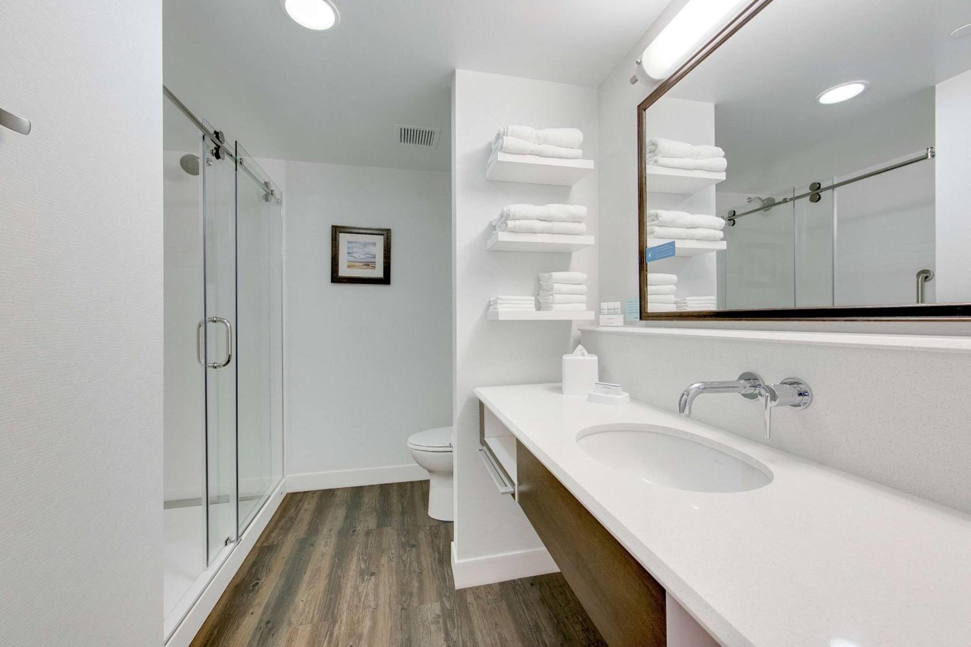 Hampton Inn & Suites North Houston Spring photo 15