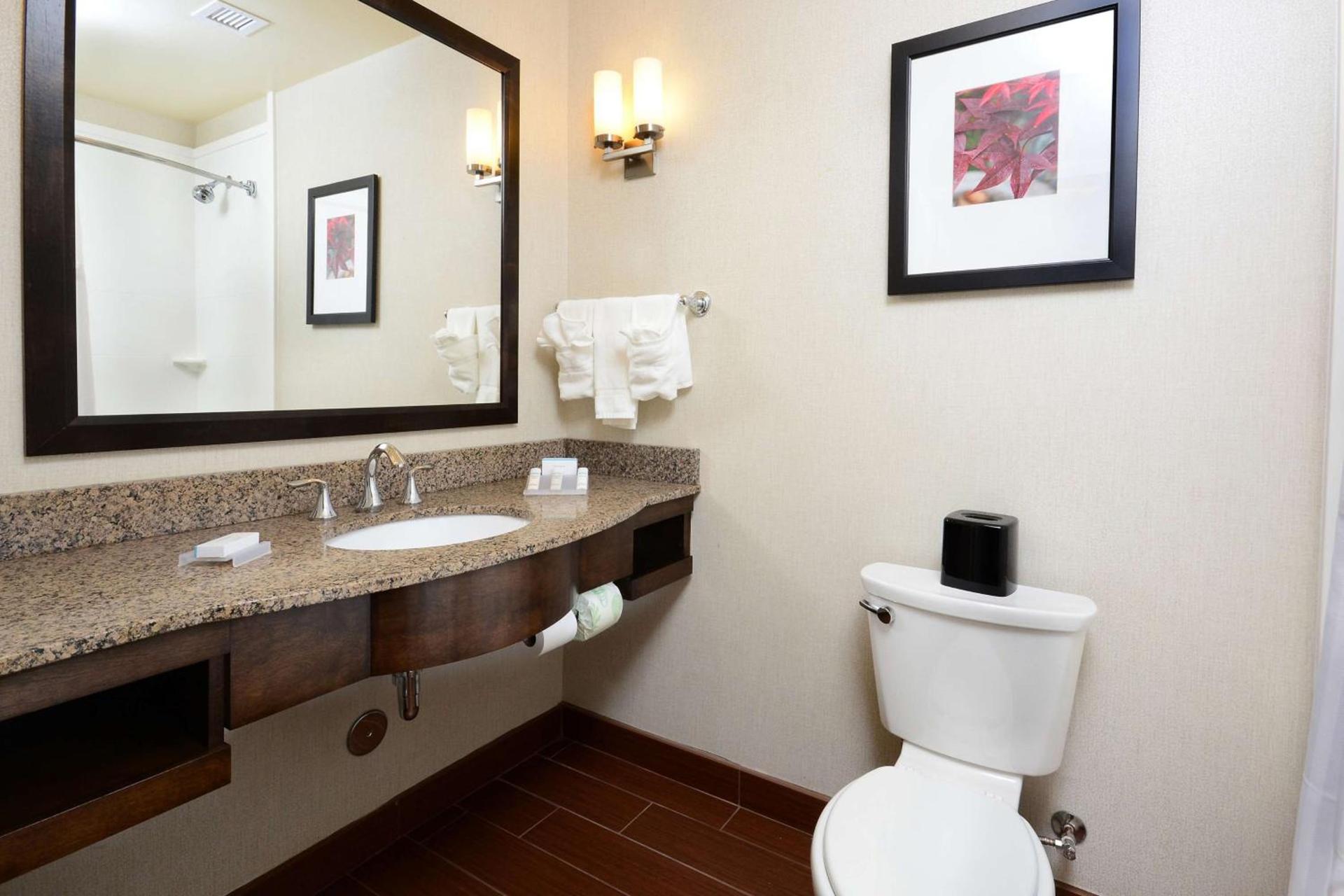 Hilton Garden Inn Greensboro Airport - Newly Renovated! photo 31