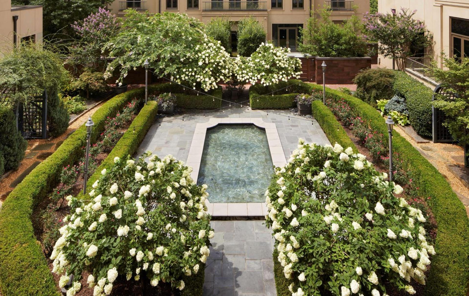 Waldorf Astoria Atlanta Buckhead photo 11