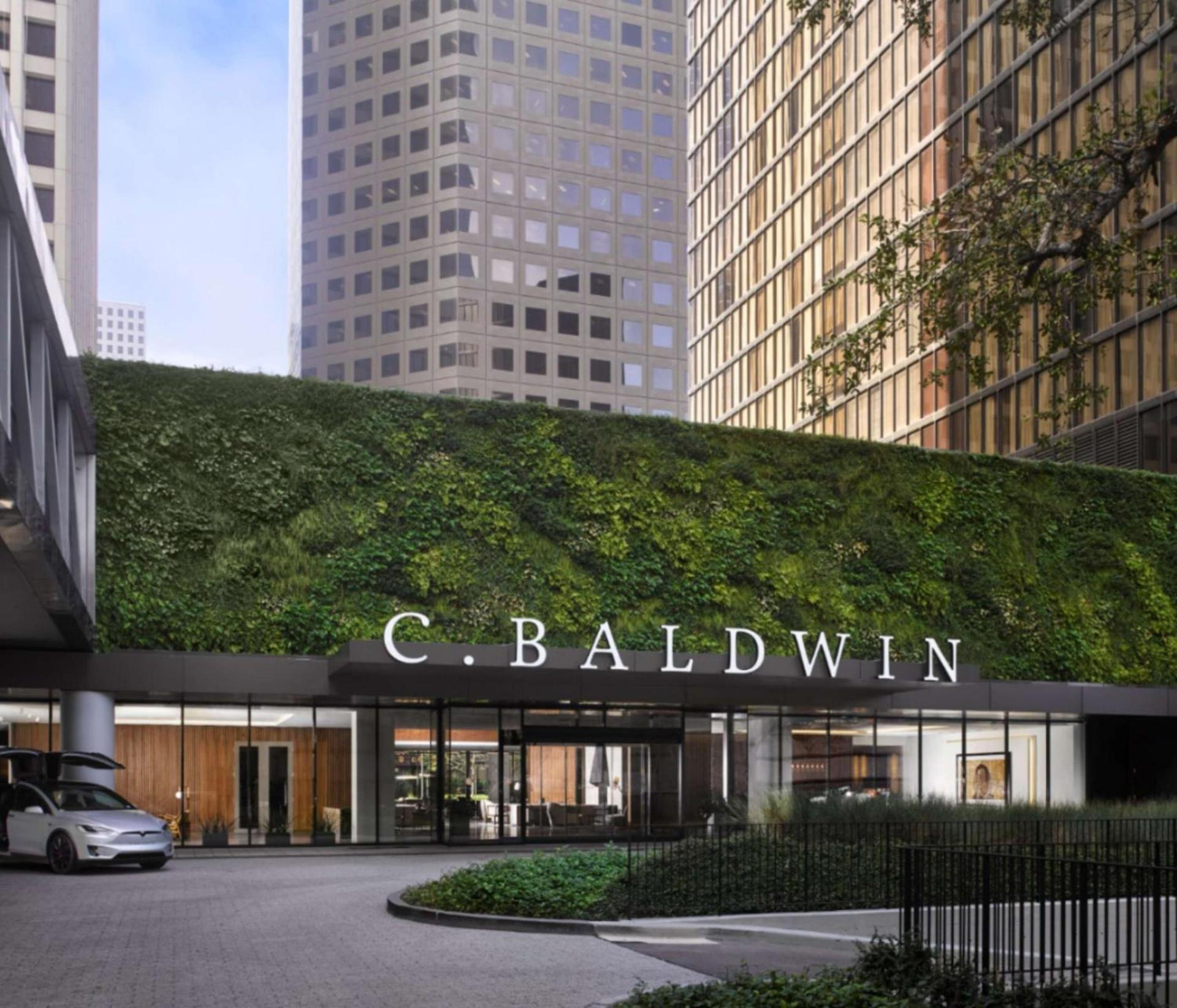 C. Baldwin, Curio Collection by Hilton photo 2