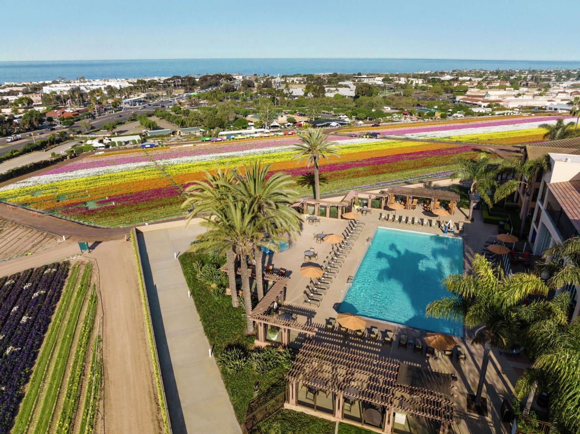 The Cassara Carlsbad, Tapestry Collection By Hilton photo 2