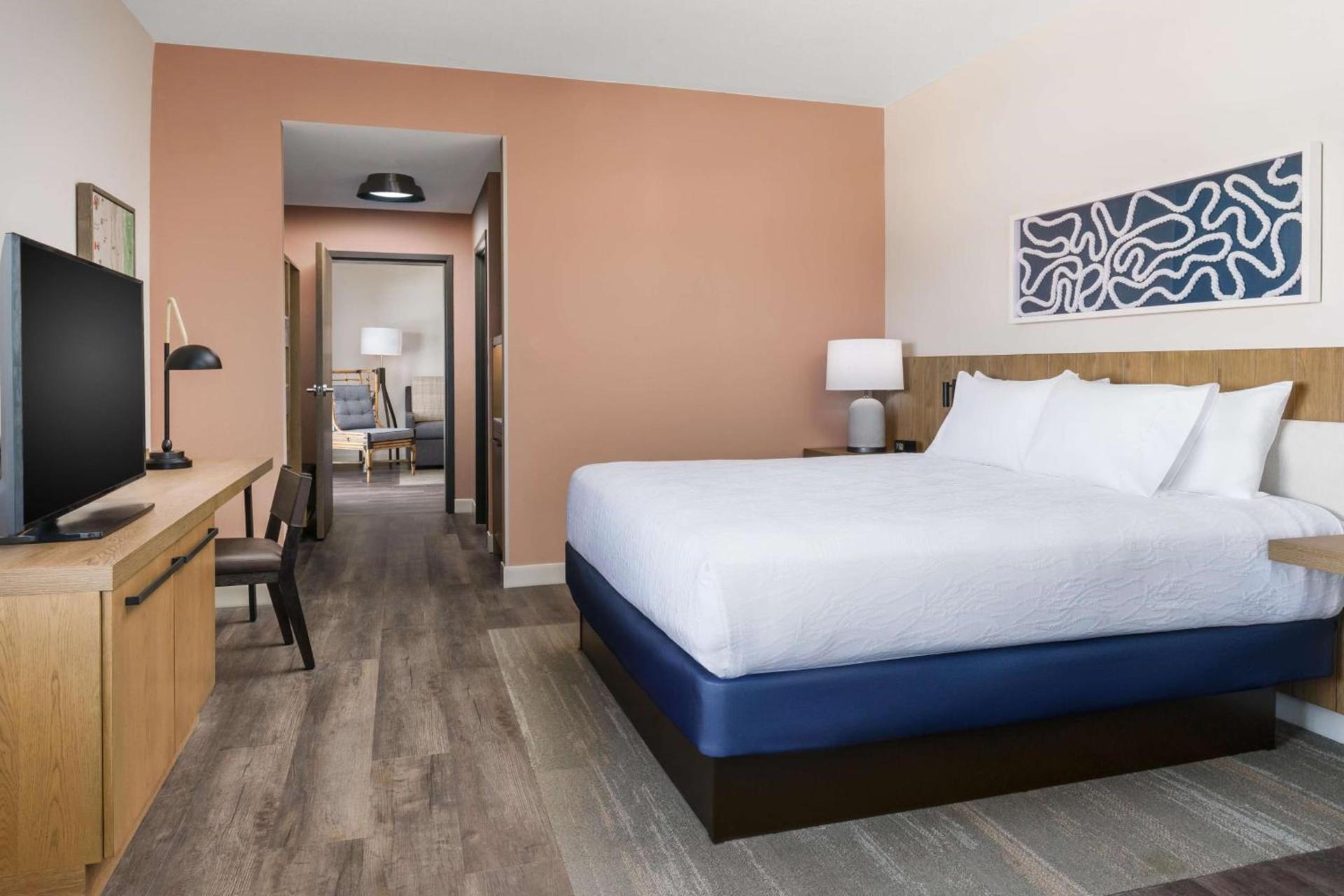 Hilton Garden Inn St. Pete Beach, FL photo 44