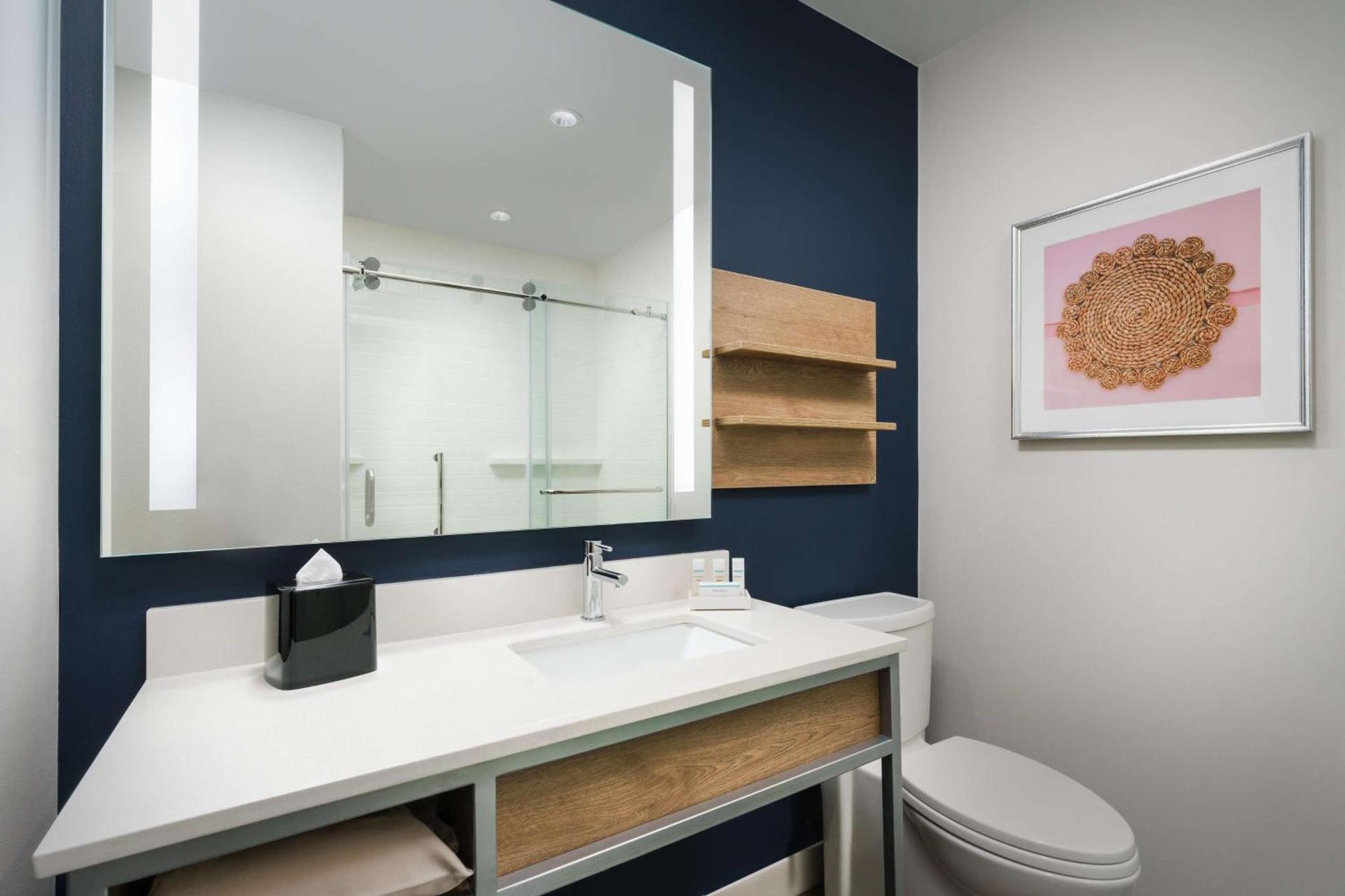 Hilton Garden Inn St. Pete Beach, FL photo 46