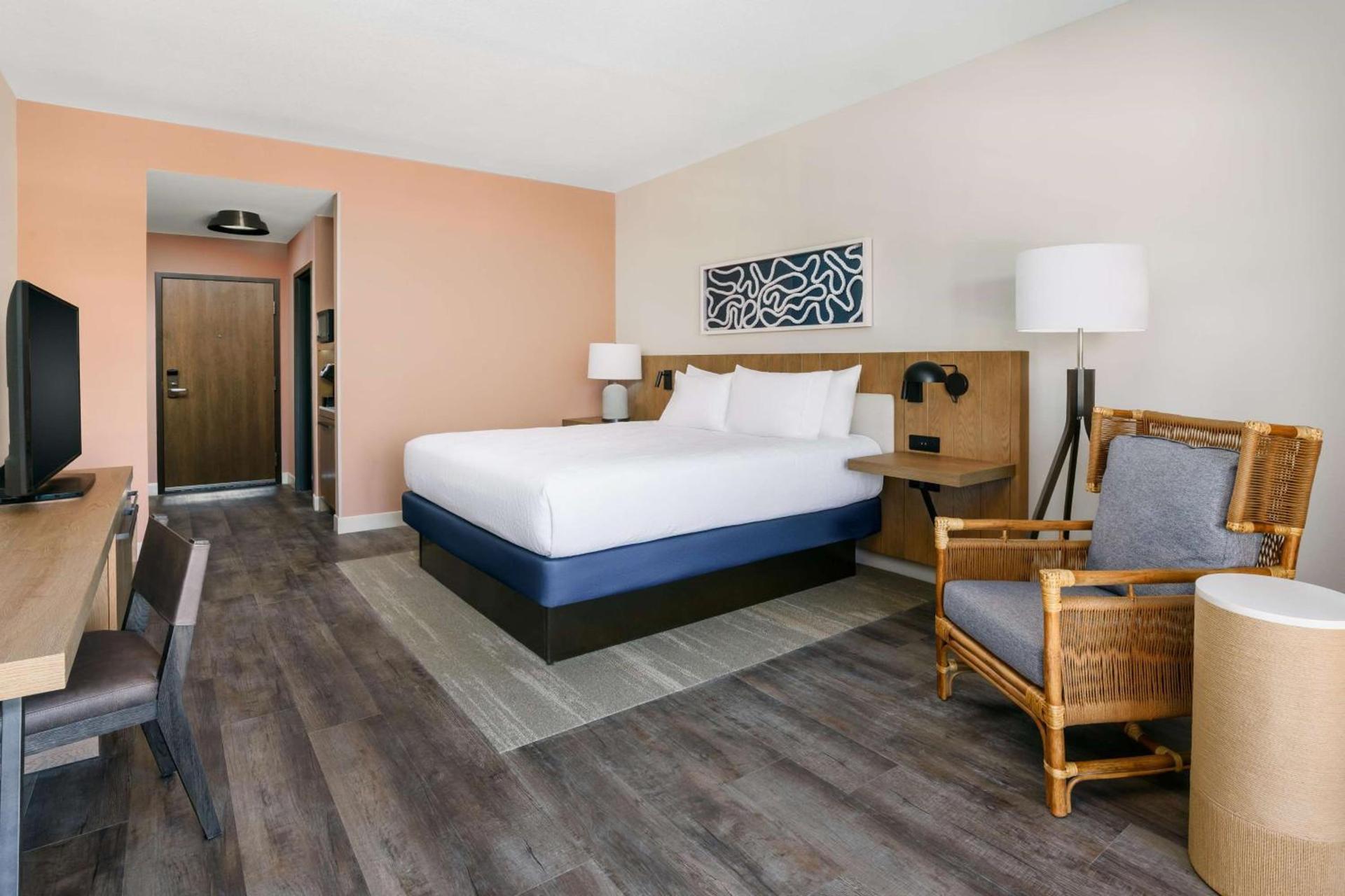 Hilton Garden Inn St. Pete Beach, FL photo 47