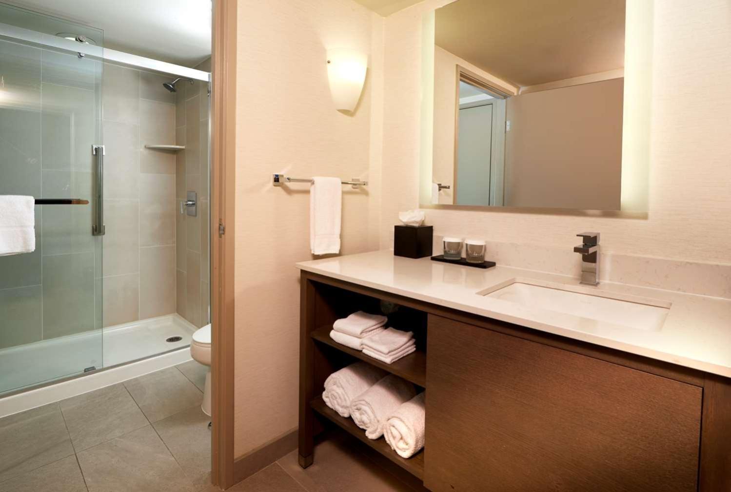 Embassy Suites by Hilton Phoenix Scottsdale photo 11
