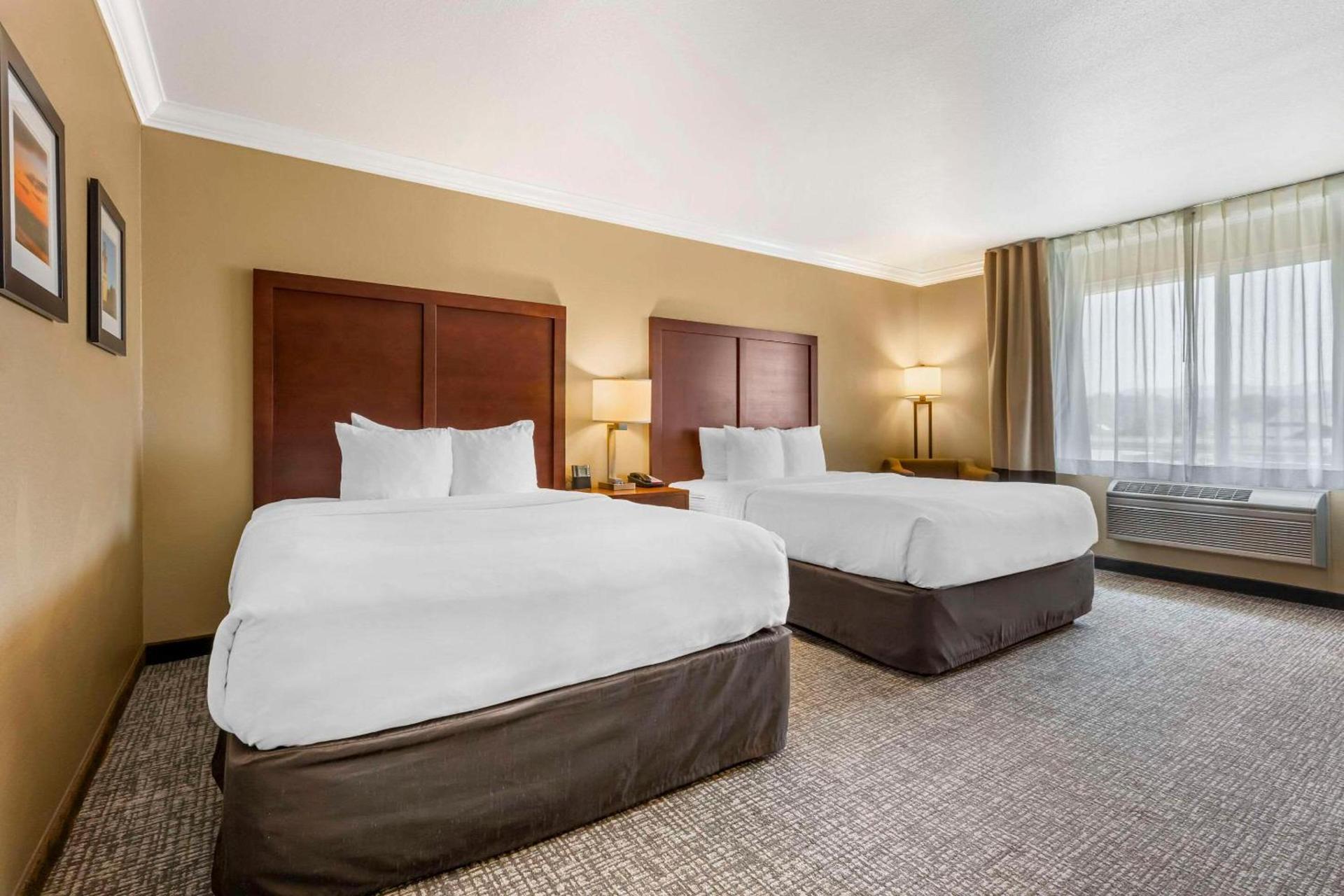 Comfort Inn & Suites Redwood Country photo 10