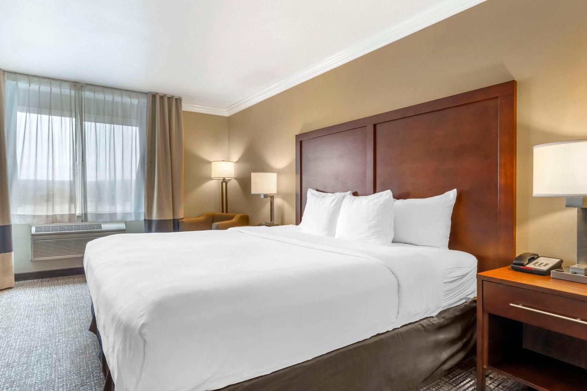 Comfort Inn & Suites Redwood Country photo 17