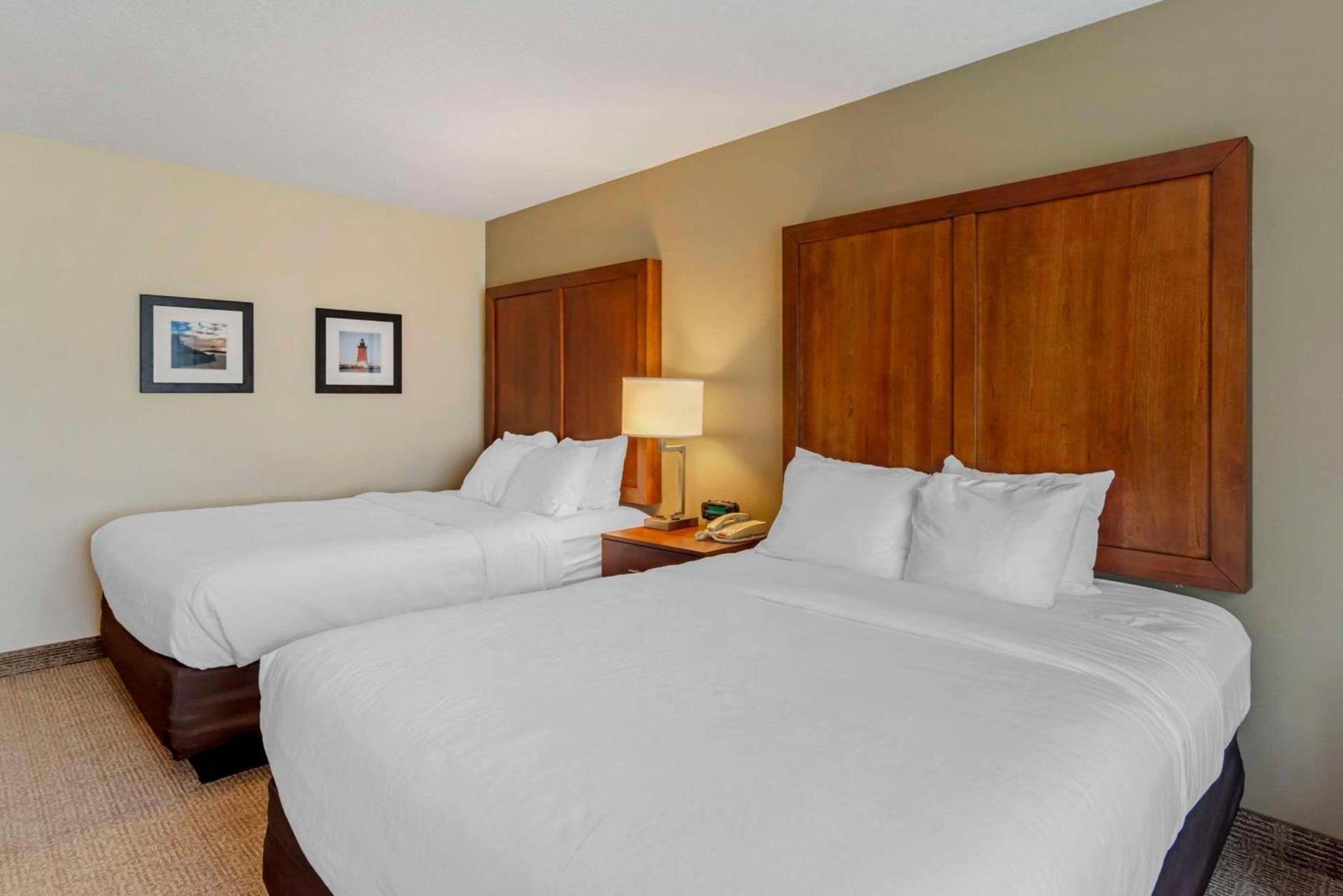 Comfort Inn & Suites Dover near Speedway photo 5