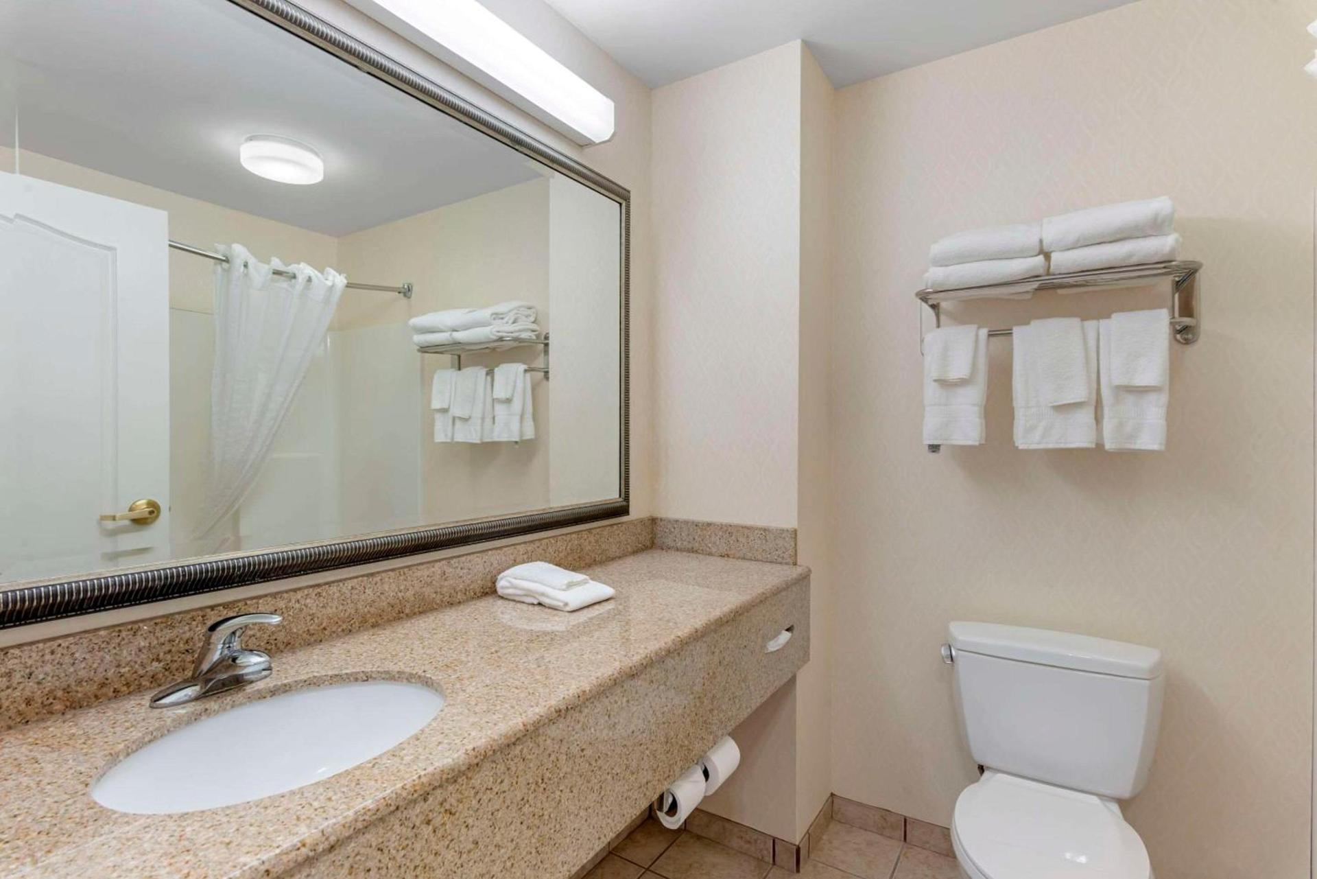 Comfort Inn & Suites Dover near Speedway photo 8