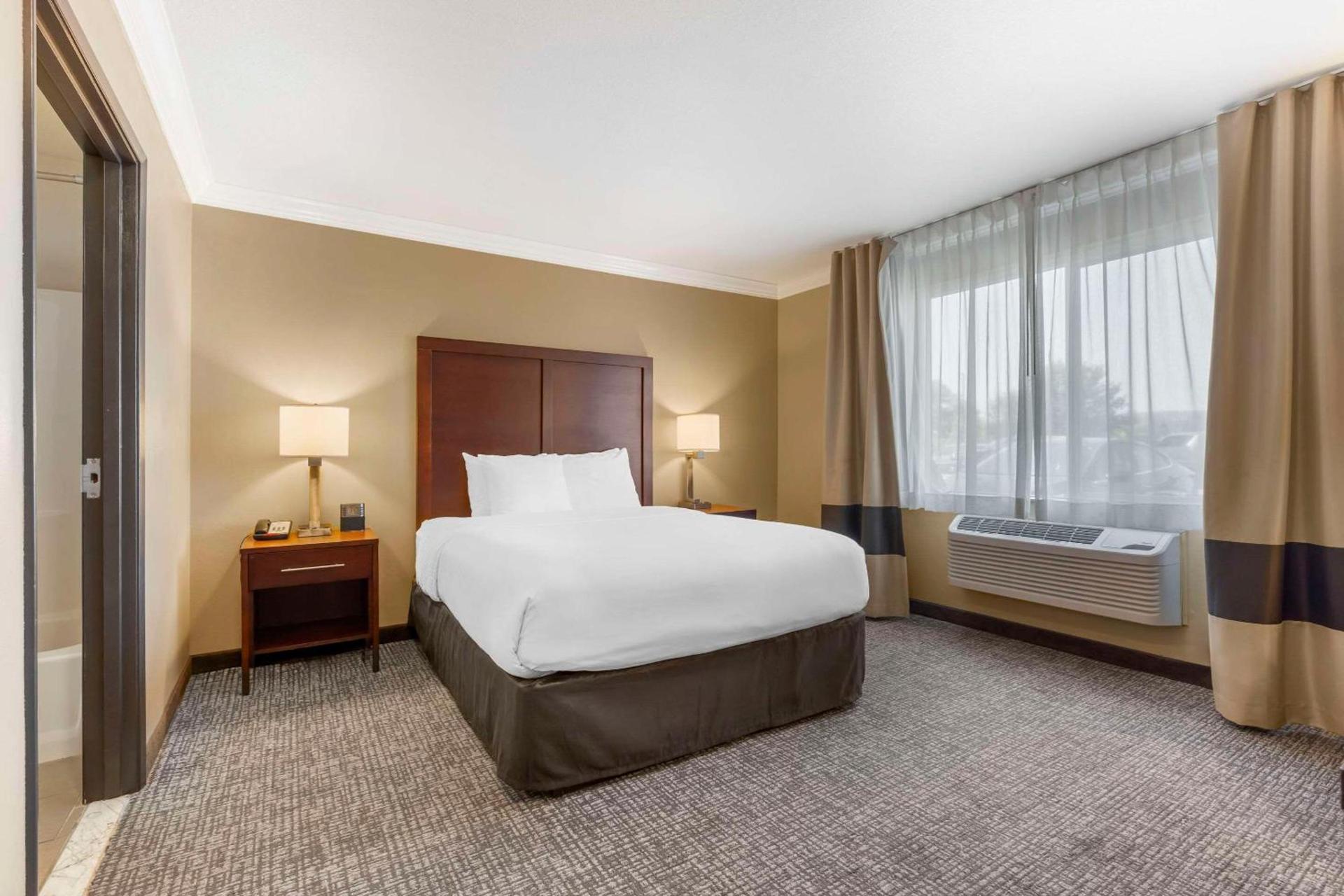 Comfort Inn & Suites Redwood Country photo 52