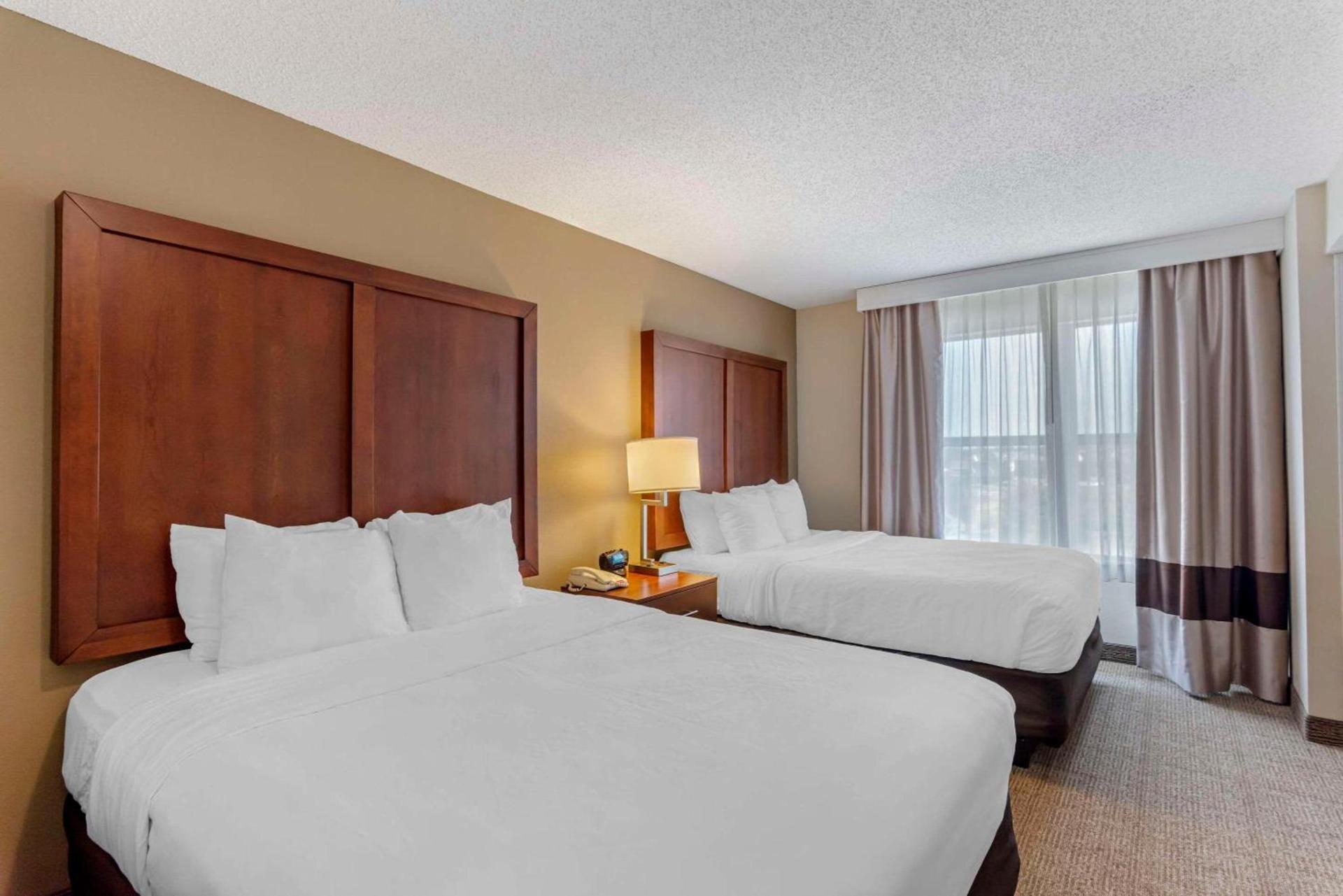 Comfort Inn & Suites Dover near Speedway photo 16