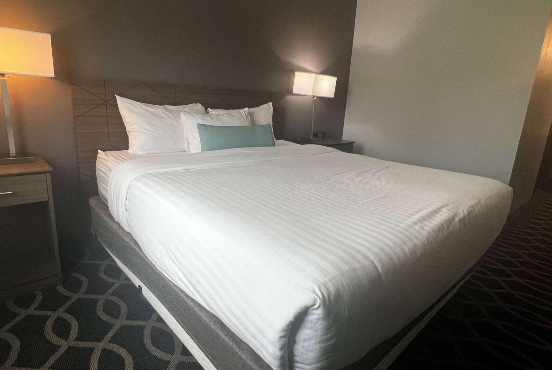 Wingate by Wyndham Humble/Houston Intercontinental Airport photo 31