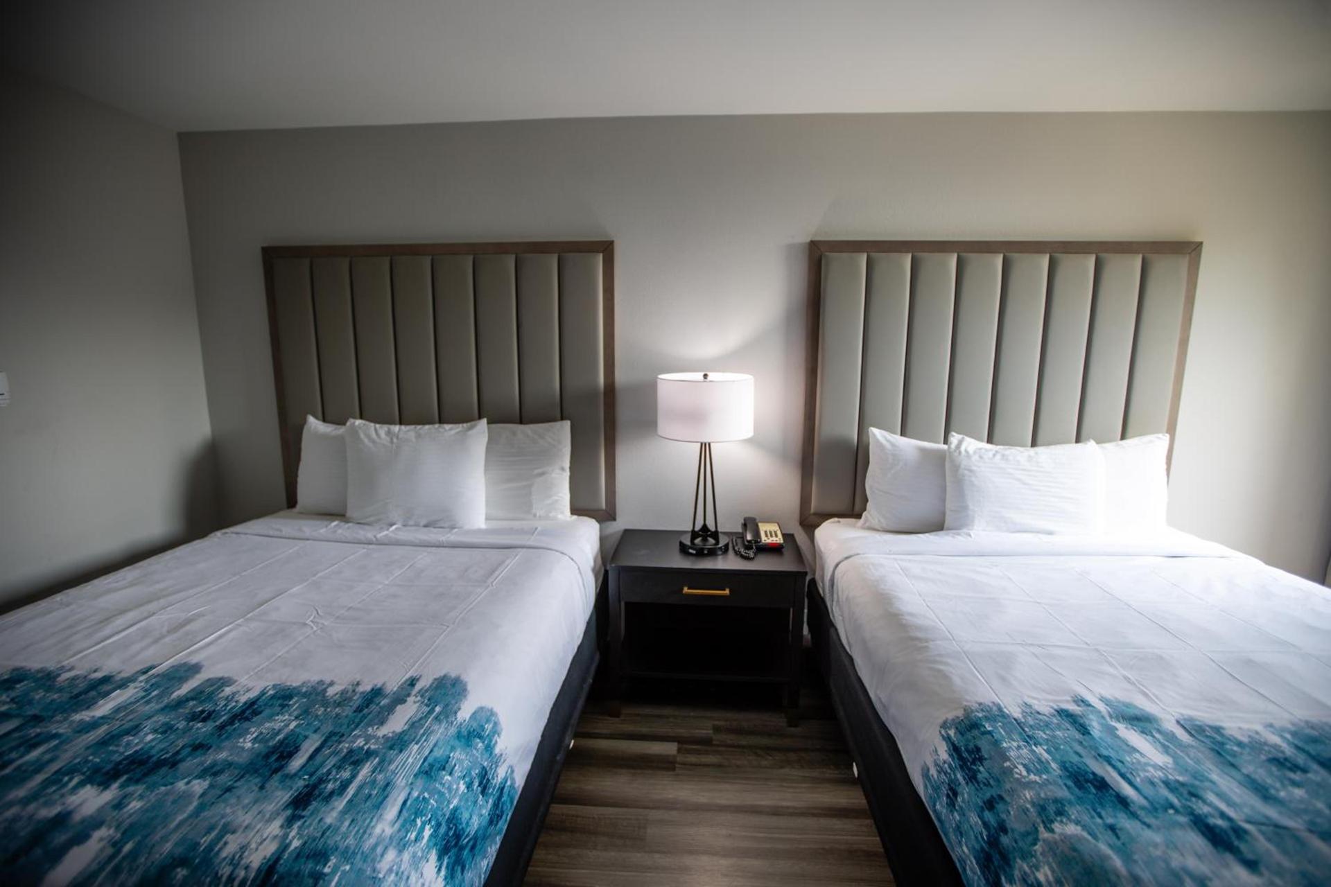 La Quinta by Wyndham Dallas I-35 Walnut Hill Ln photo 6