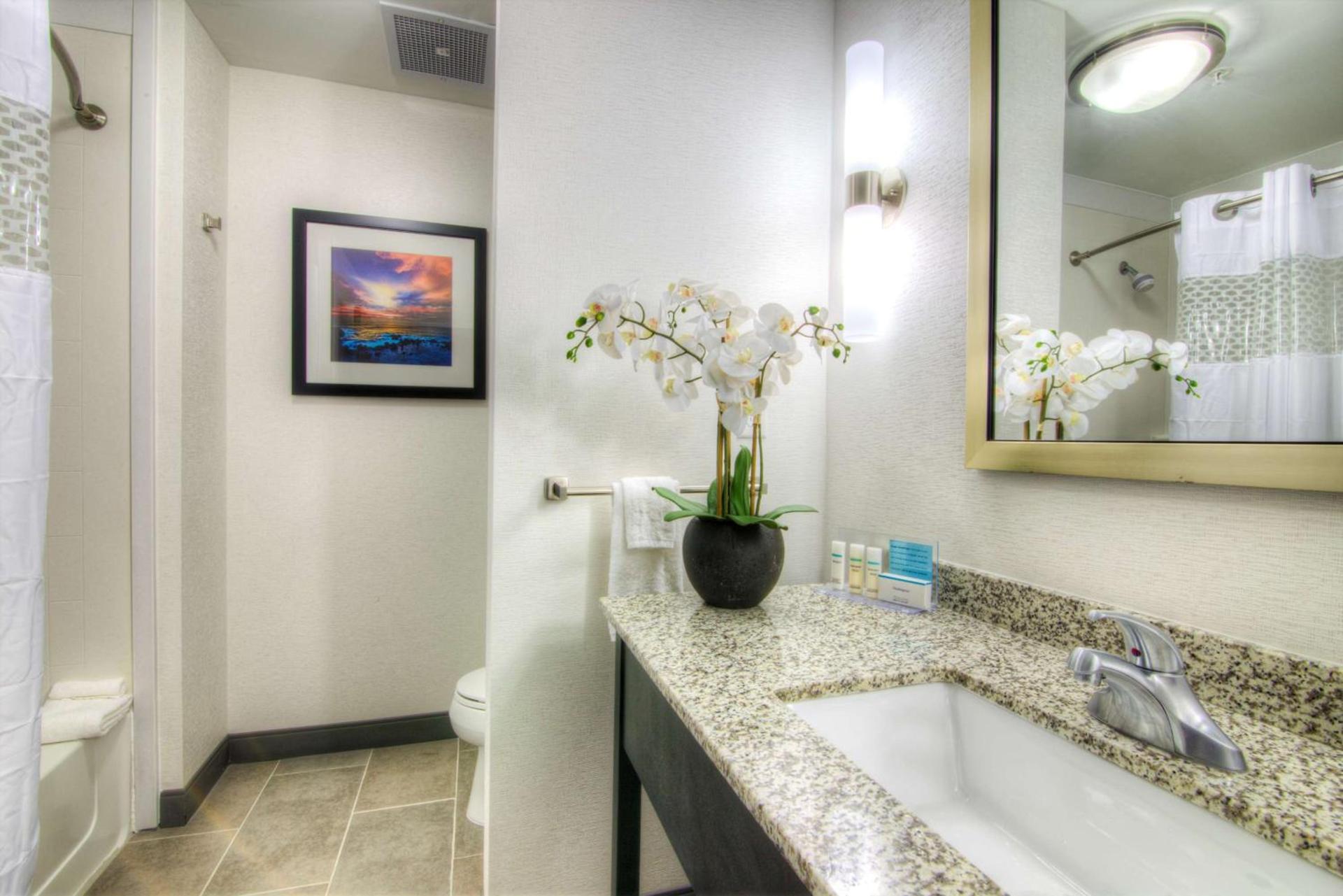 Hampton Inn Houston I-10 East, TX photo 20
