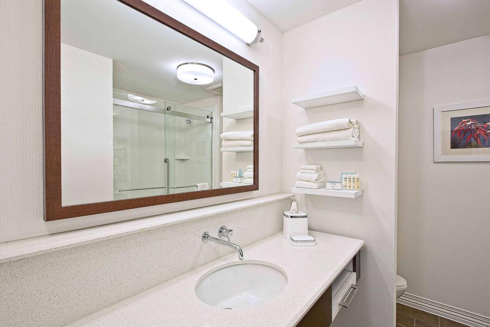 Hampton Inn by Hilton West Bloomfield Novi photo 10