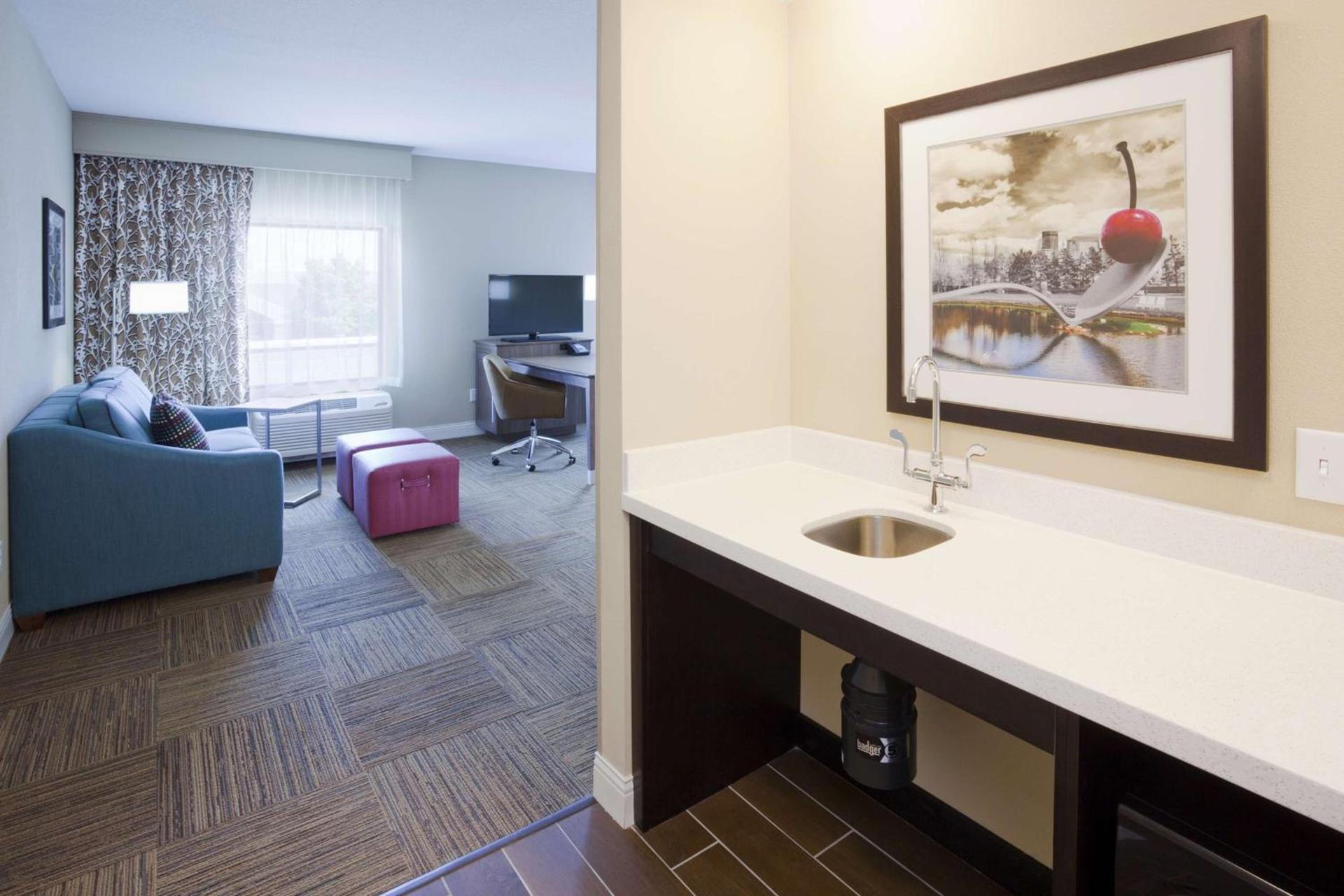 Hampton Inn Minneapolis-Roseville,MN photo 24
