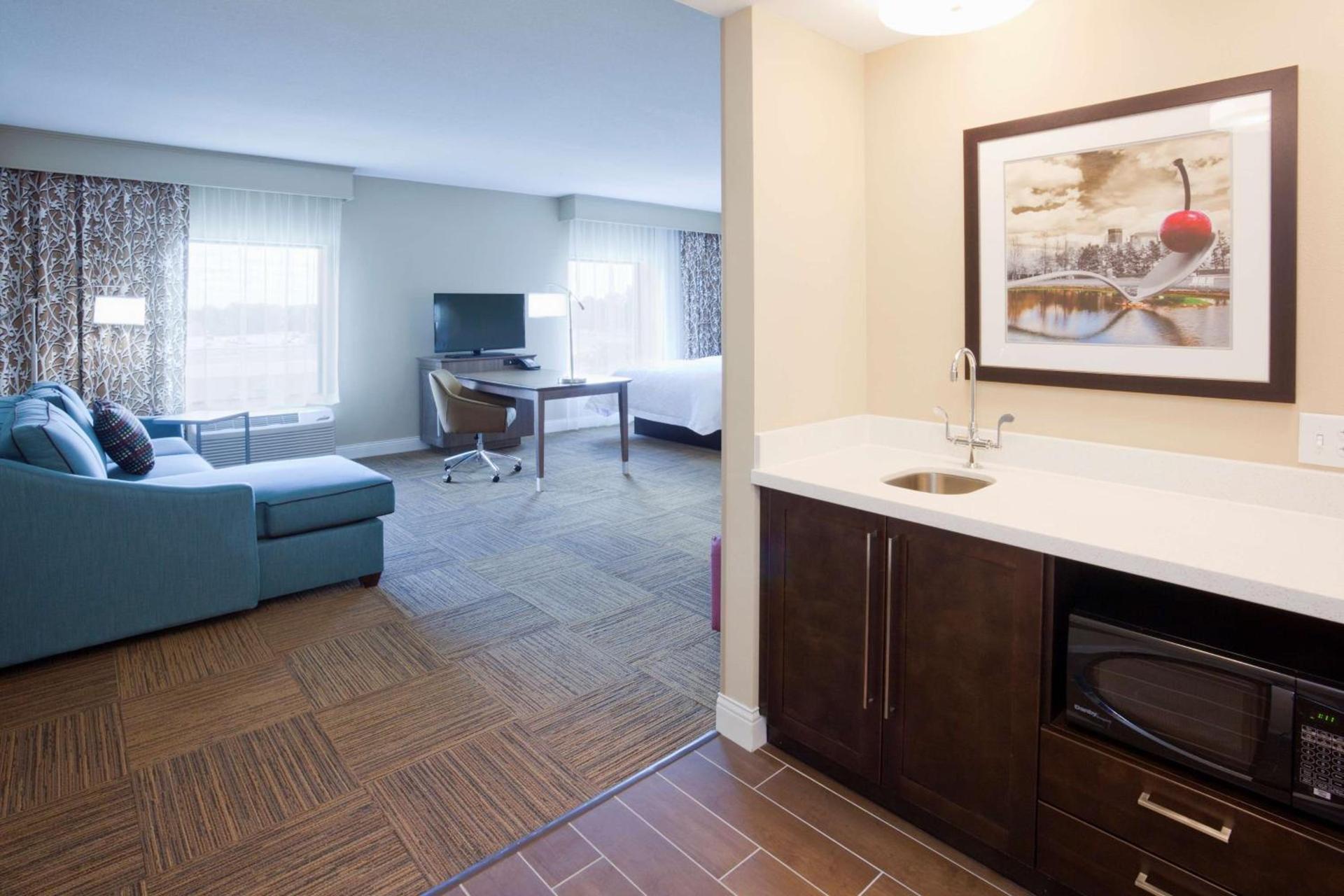 Hampton Inn Minneapolis-Roseville,MN photo 26