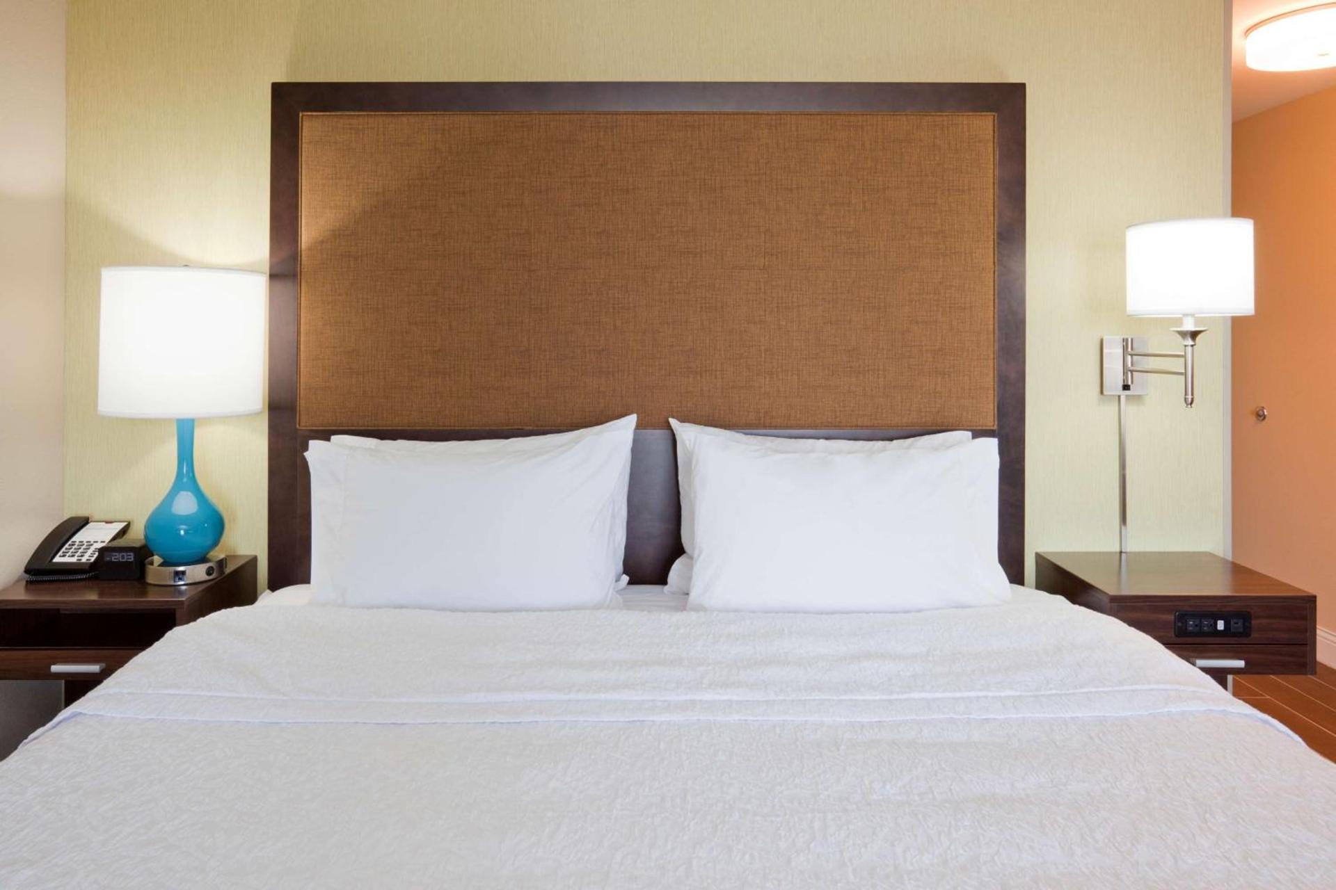Hampton Inn Minneapolis-Roseville,MN photo 29