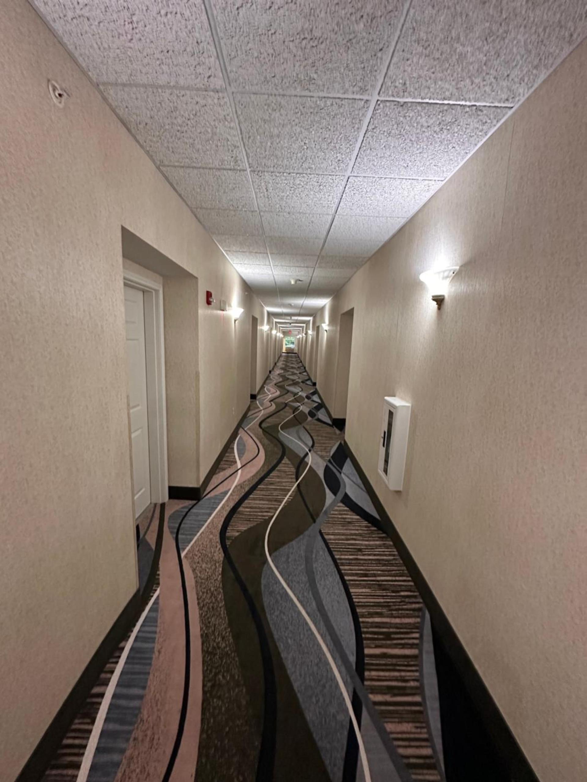 MainStay Suites Madison Airport photo 89